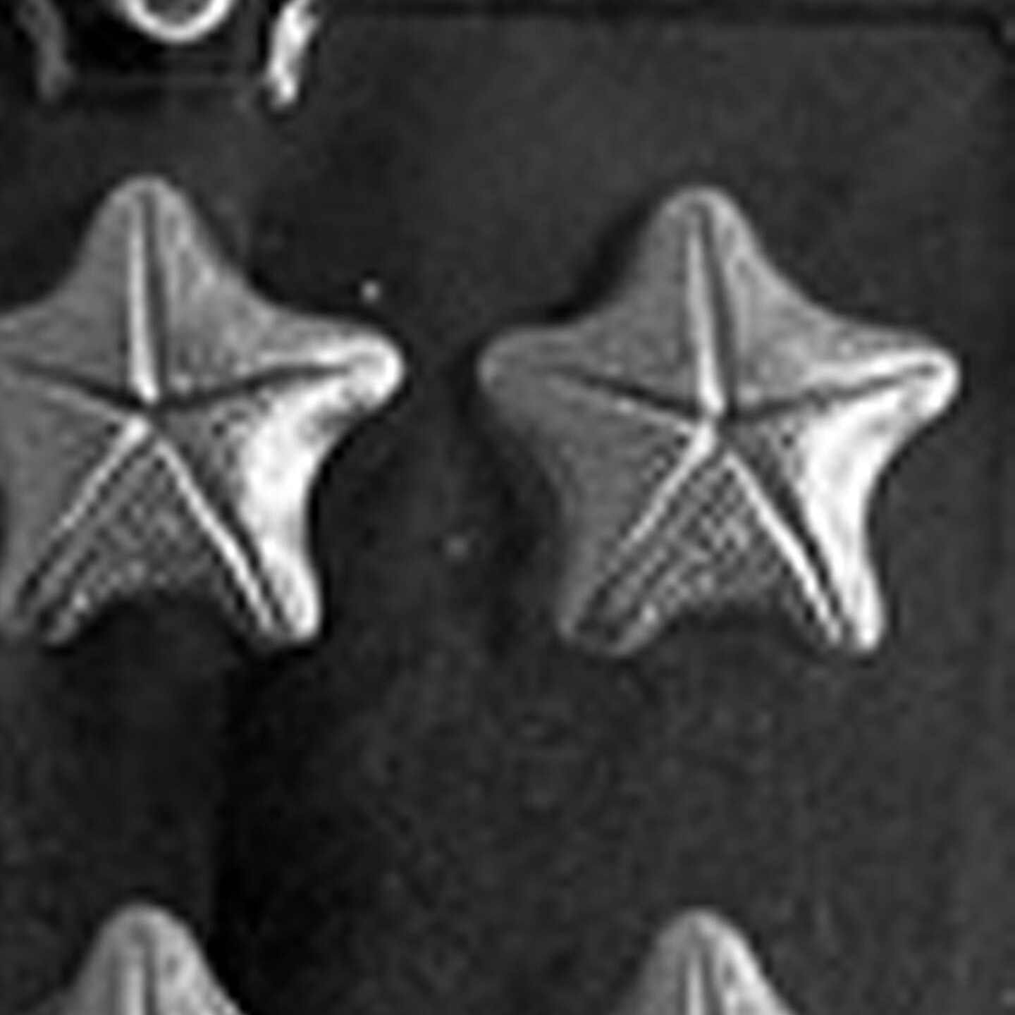 Starfish Chocolate Mold