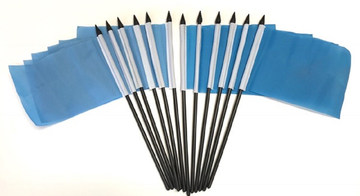 Pack of 12 Light Blue Mini Flags – 4"x6" Polyester Desk & Hand Waving Set