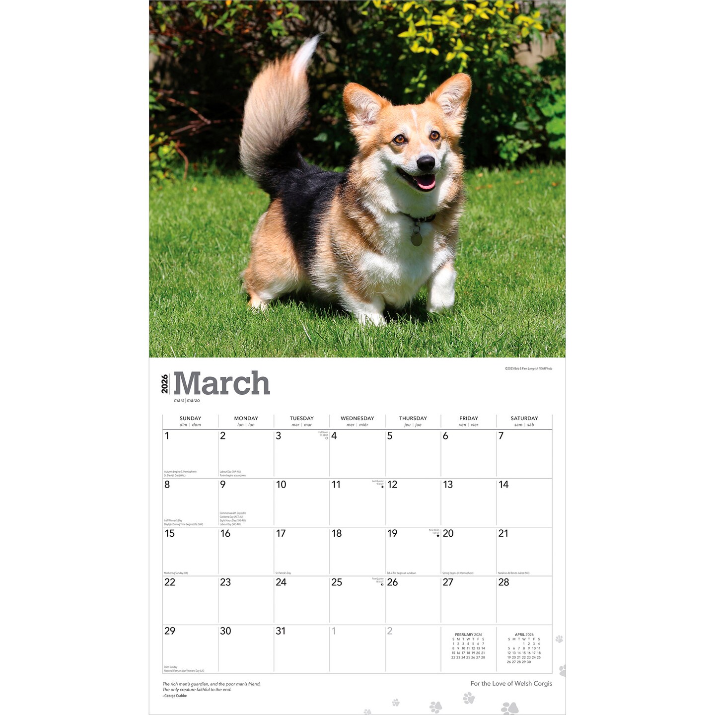 For the Love of Welsh Corgis | 2026 14 x 24 Inch (Hanging) Monthly Deluxe Wall Calendar | Foil Stamped Cover | Plastic-Free