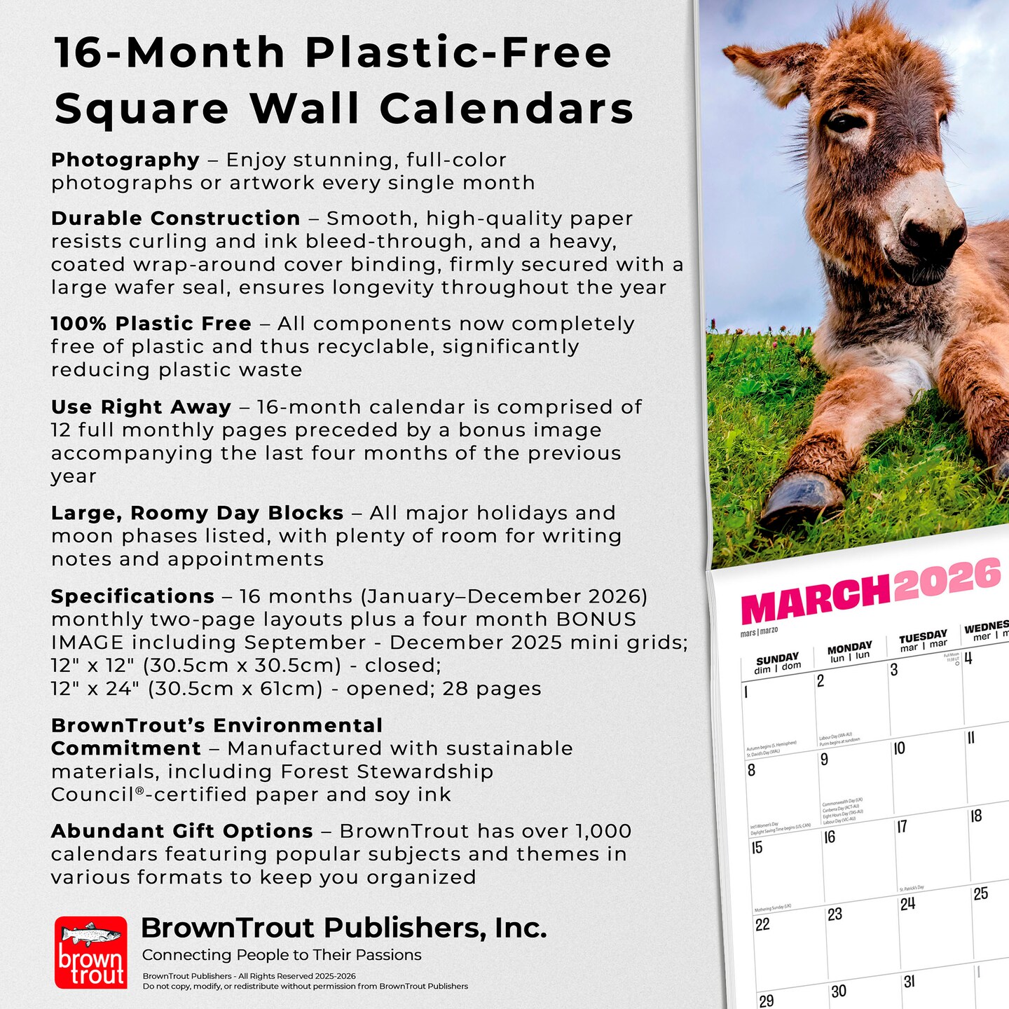 Jackasses | 2026 12 x 24 Inch (Hanging) Monthly Square Wall Calendar | Plastic-Free