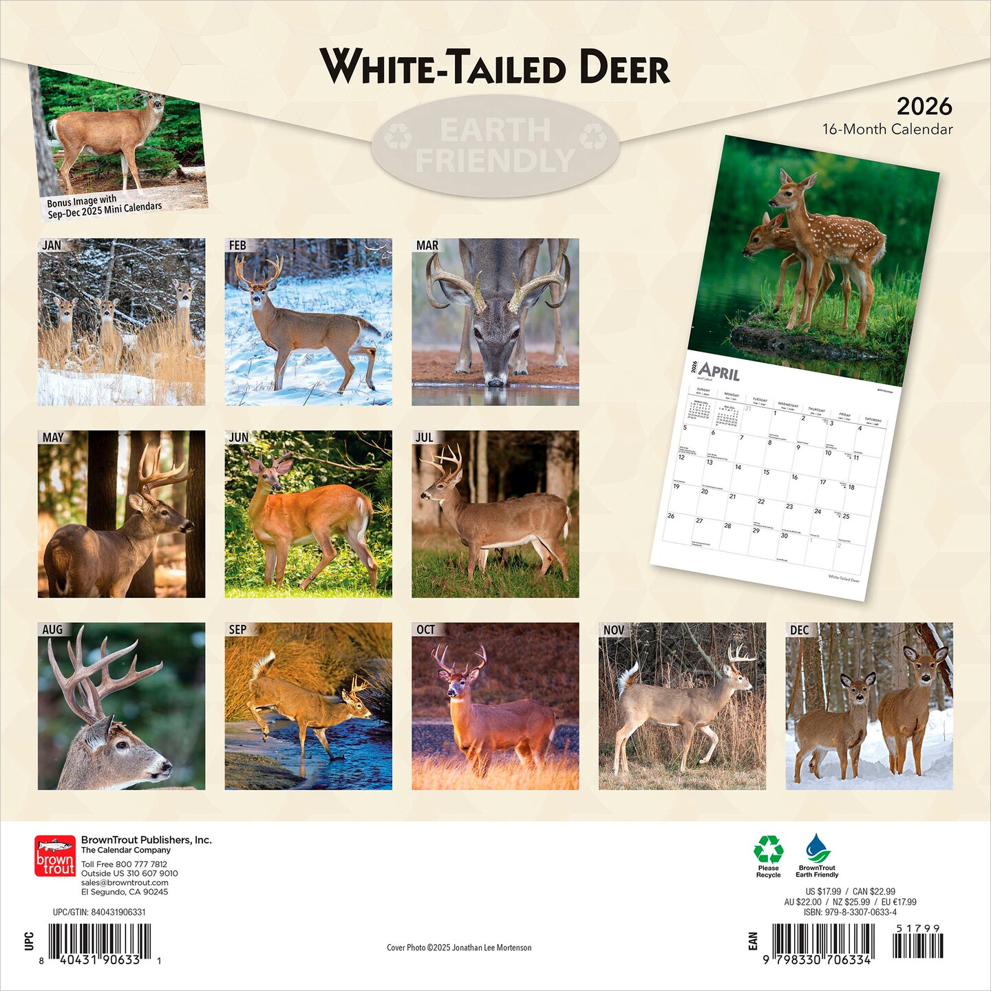 White Tailed Deer | 2026 12 x 24 Inch (Hanging) Monthly Square Wall Calendar | Plastic-Free