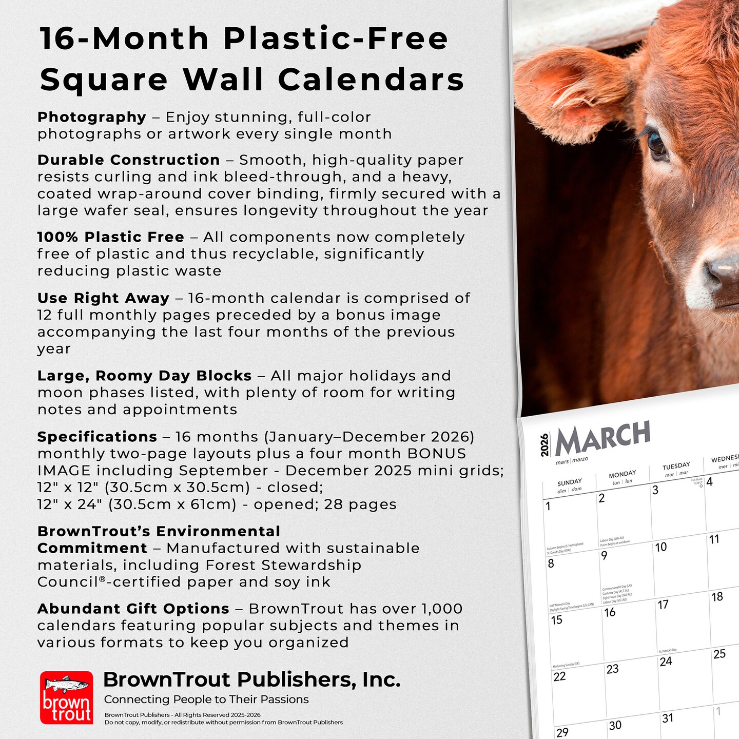 Baby Moo Moos | 2026 12 x 24 Inch (Hanging) Monthly Square Wall Calendar | Plastic-Free