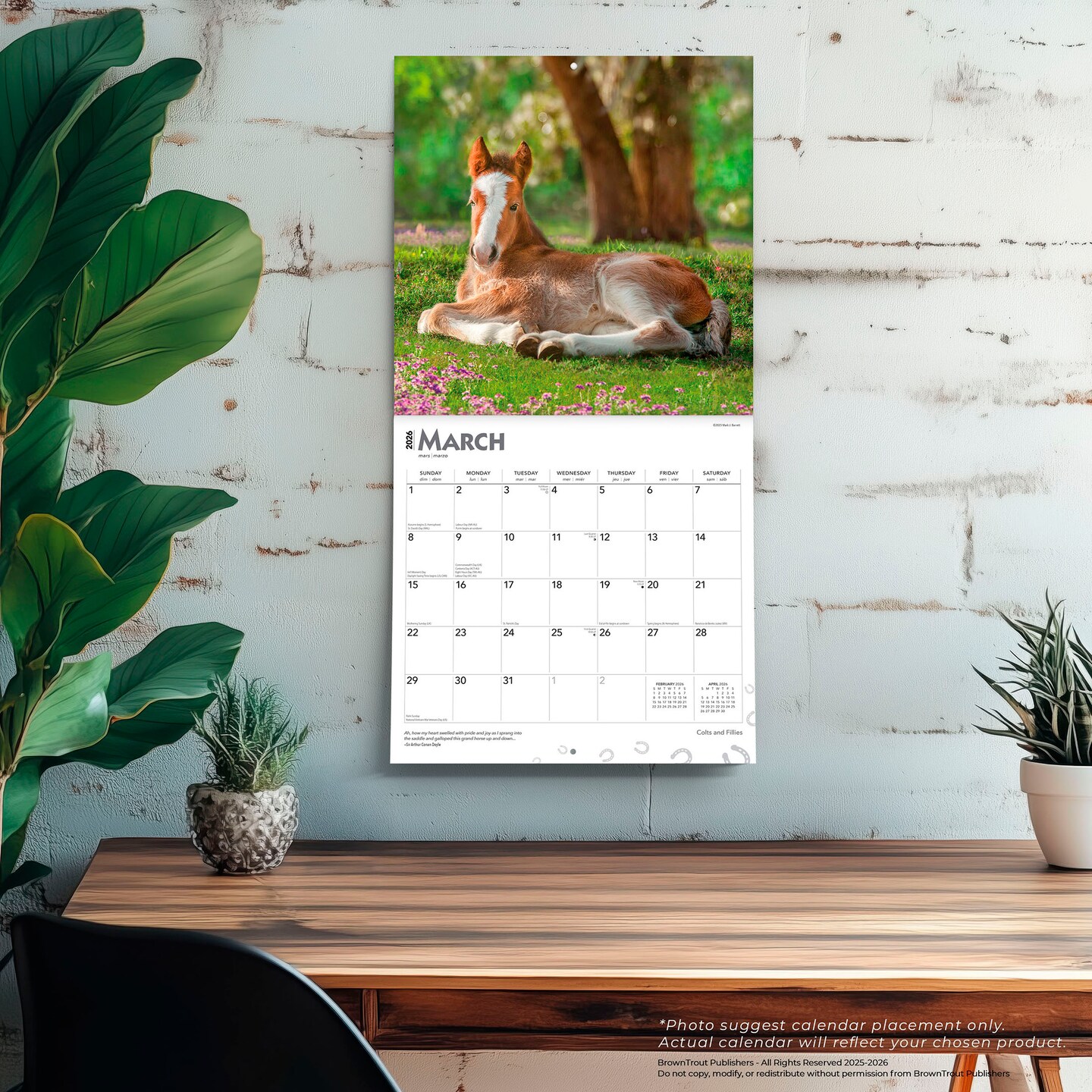 Colts and Fillies | 2026 12 x 24 Inch (Hanging) Monthly Square Wall Calendar | Plastic-Free