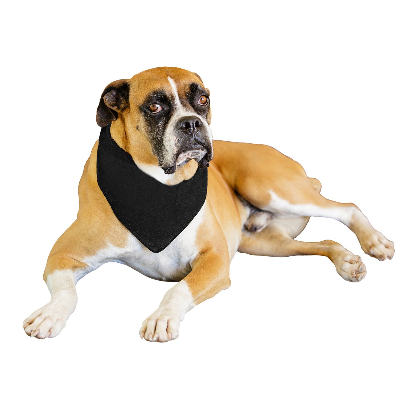 Mechaly 6 Pack Solid Polyester Dog Neckerchief Triangle Bibs  - Extra Large