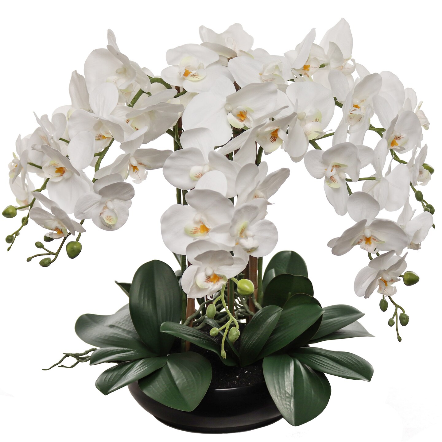 20-Inch White Phalaenopsis Orchid Arrangement &#x2013; Lifelike Artificial Flowers with Natural Leaf Details in Modern Black Pot for Elegant Home &#x26; Office Decor, Floral Home by Artificial Flowers