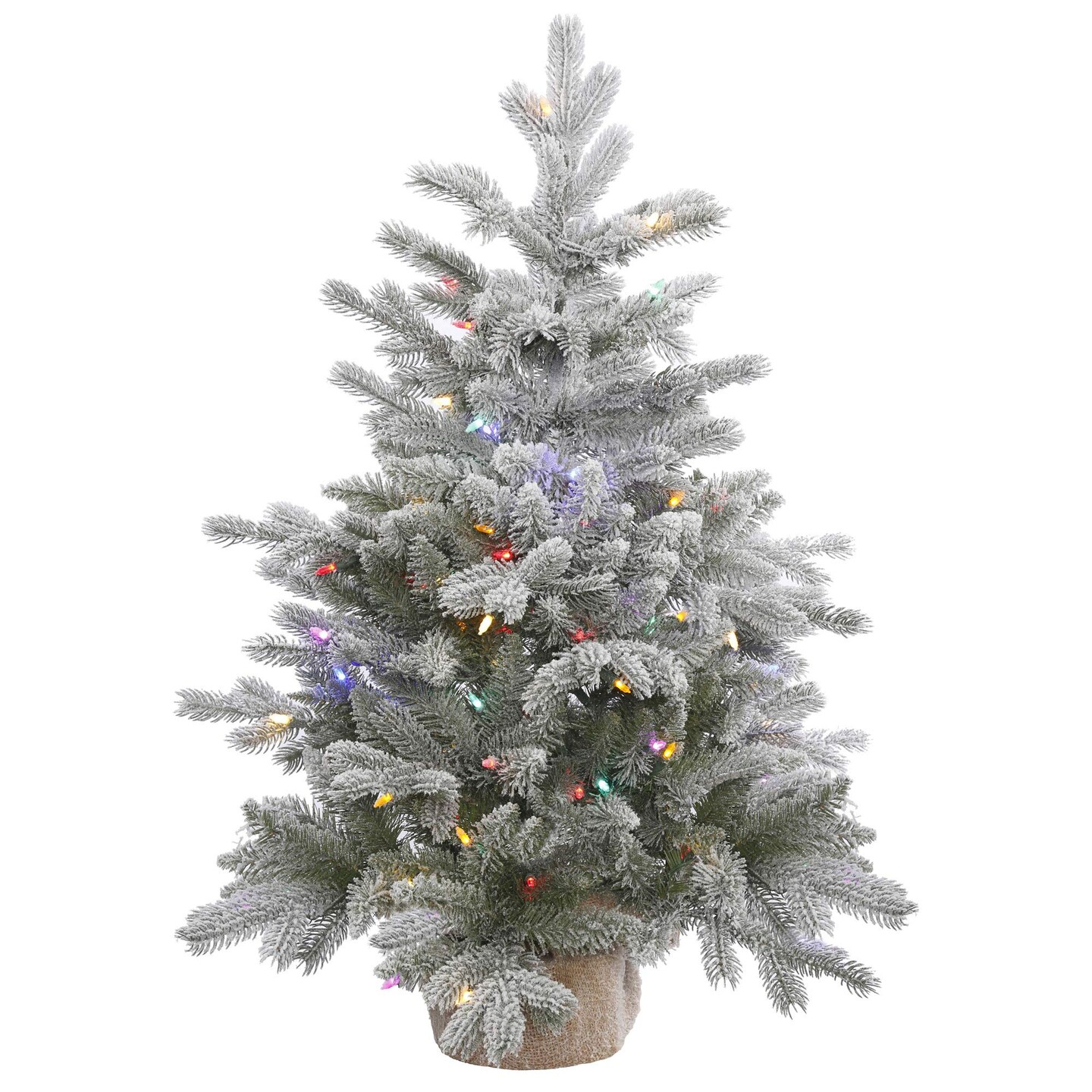 Vickerman 36&#x22; x 28&#x22; Frosted Sable Tree 100LED MU - A156632LED