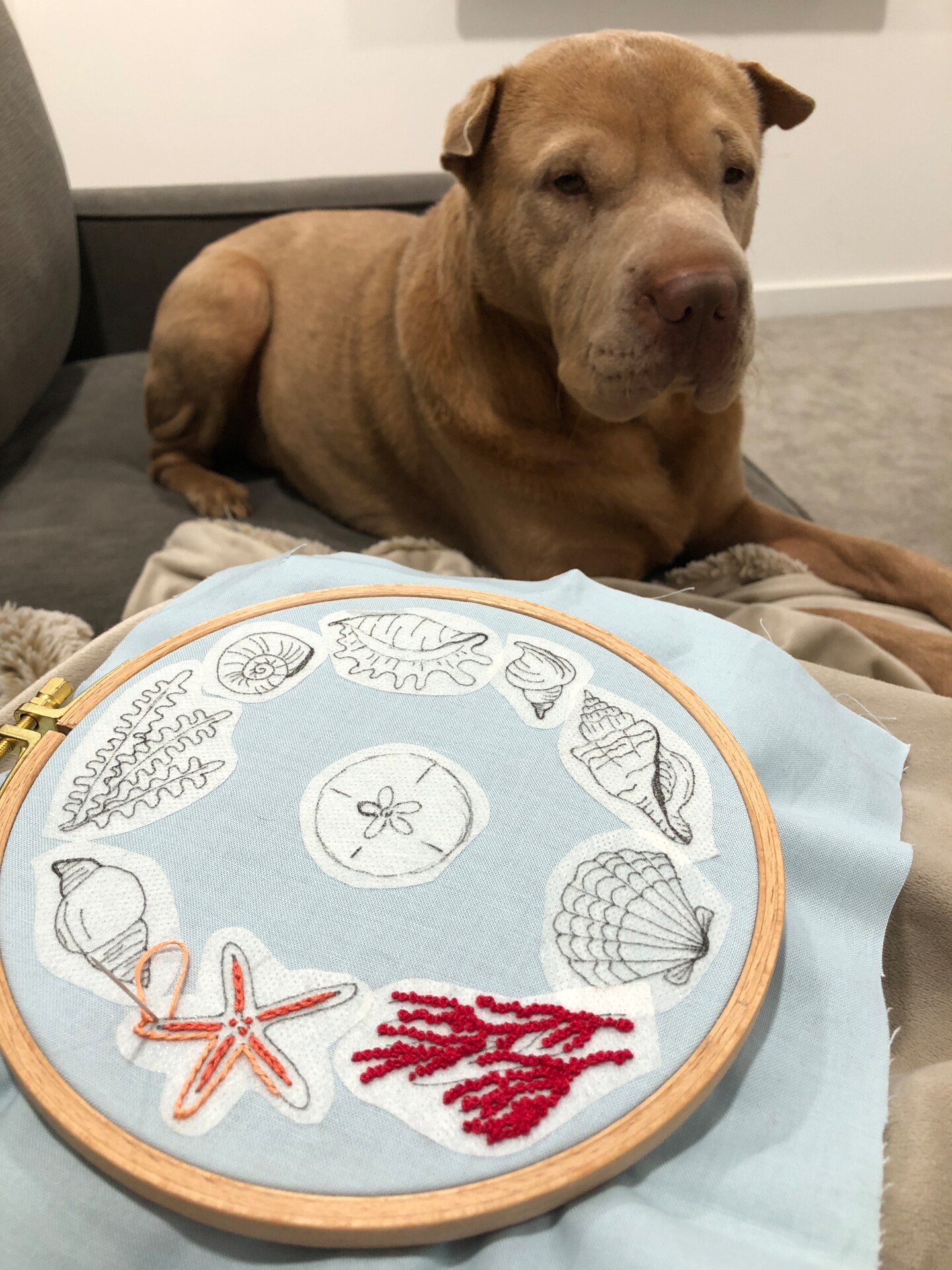 MCreativeJ Seashells Embroidery Patterns - Stick and Stitch Beach Embroidery