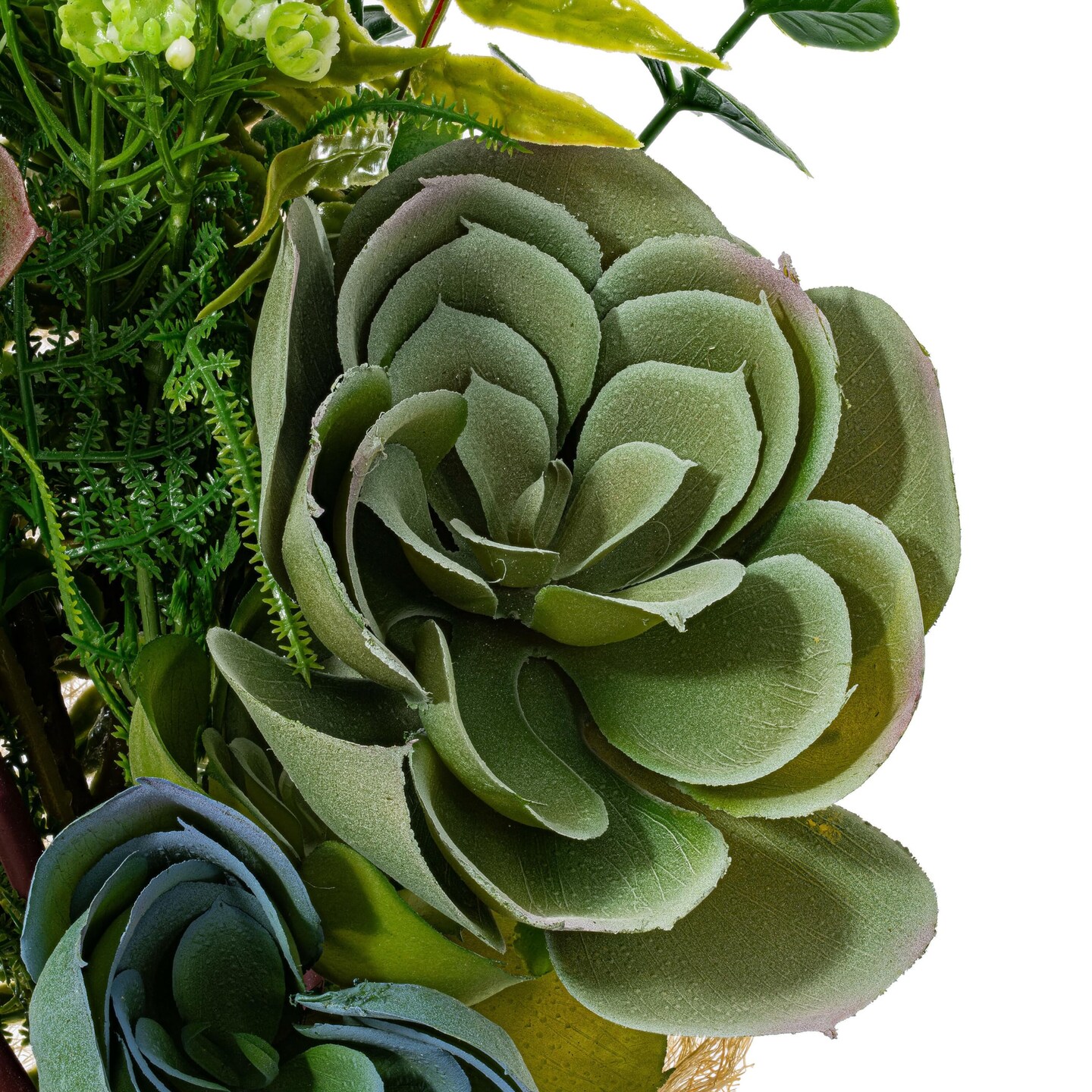 ユーパワー 植物・花 グリーン W22.5×H22.5cm wgteh8f Vickerman 21
