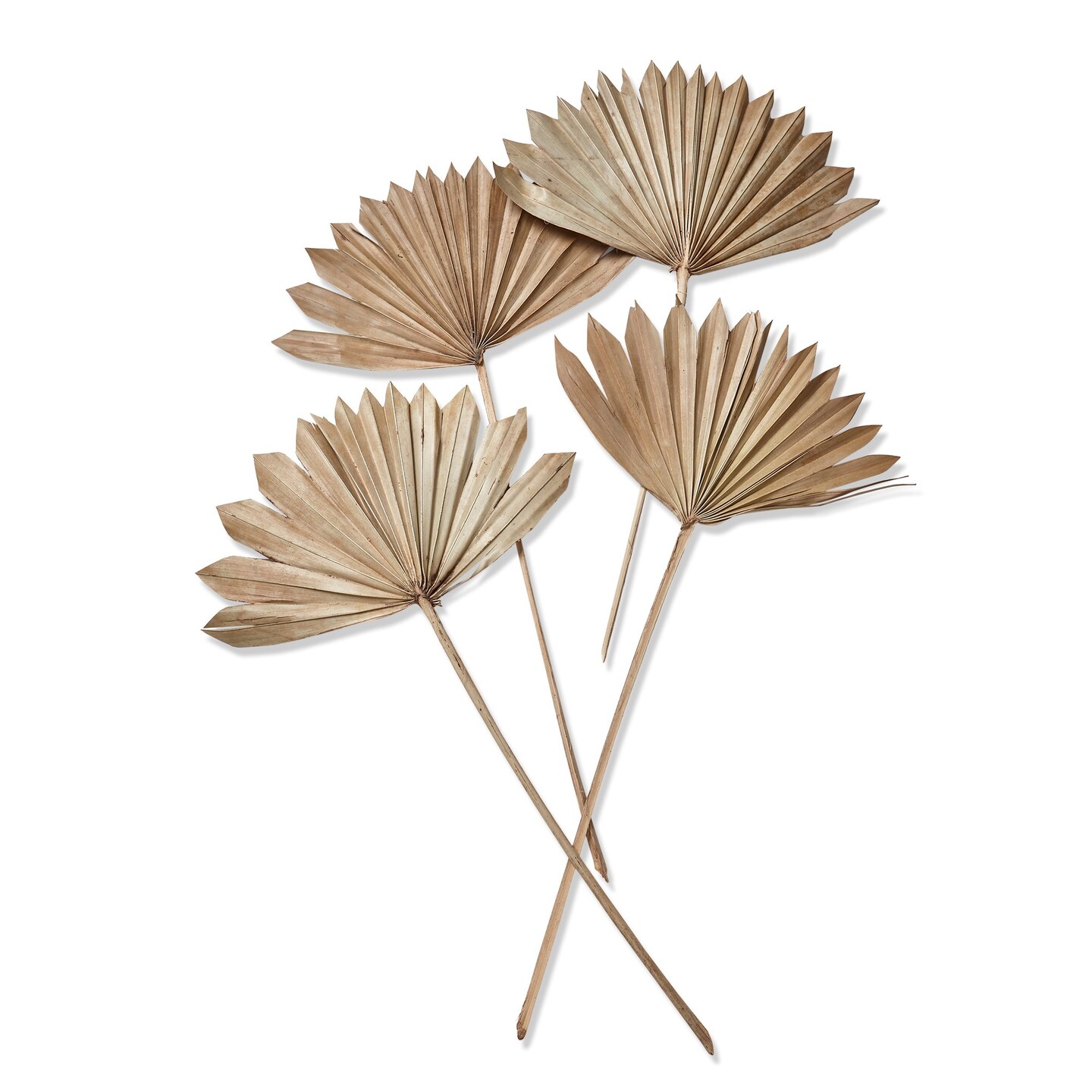 Sun Spear Stick Set of 4