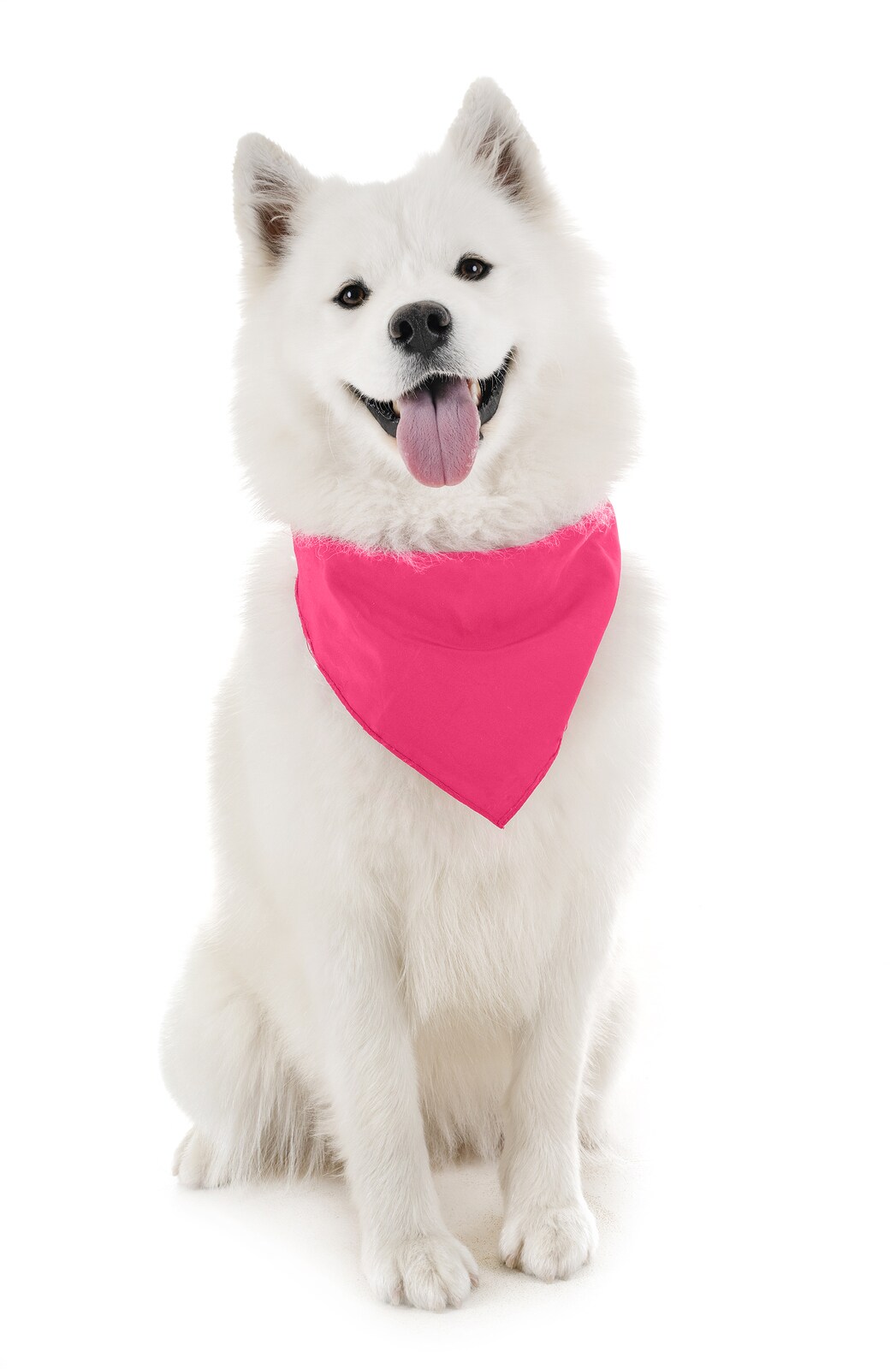 Dog Bandanas - 6 Pack - Scarf Triangle Bibs for Small, Medium and Large Puppies, Dogs and Cats