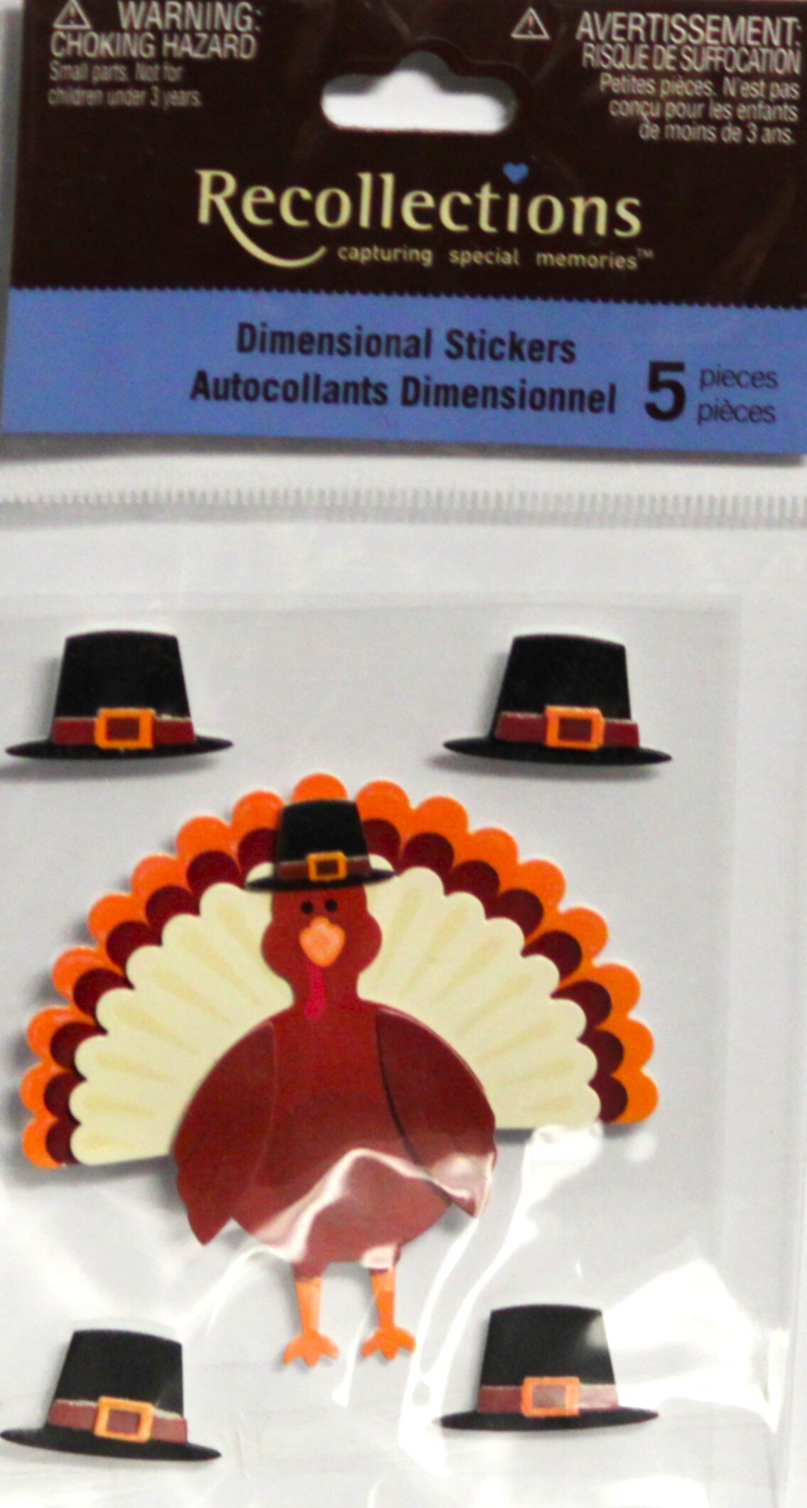 Recollections Vintage Thanksgiving Turkey Dimensional Stickers