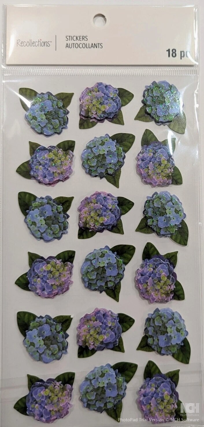 Recollections Purple Hydrangea Flowers Dimensional Stickers