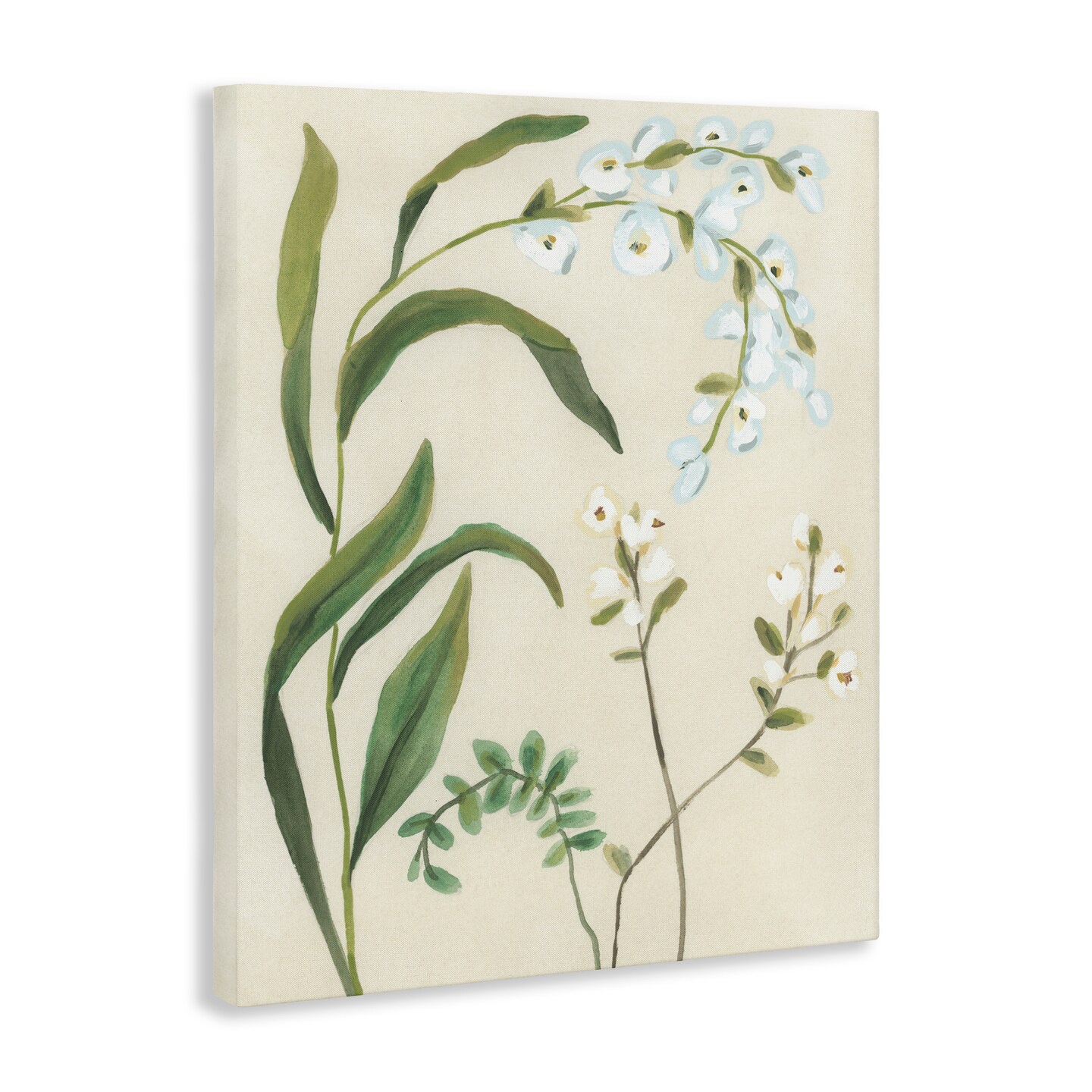 Stupell Industries Soft Snowdrop Stems Canvas, design by June Erica Vess