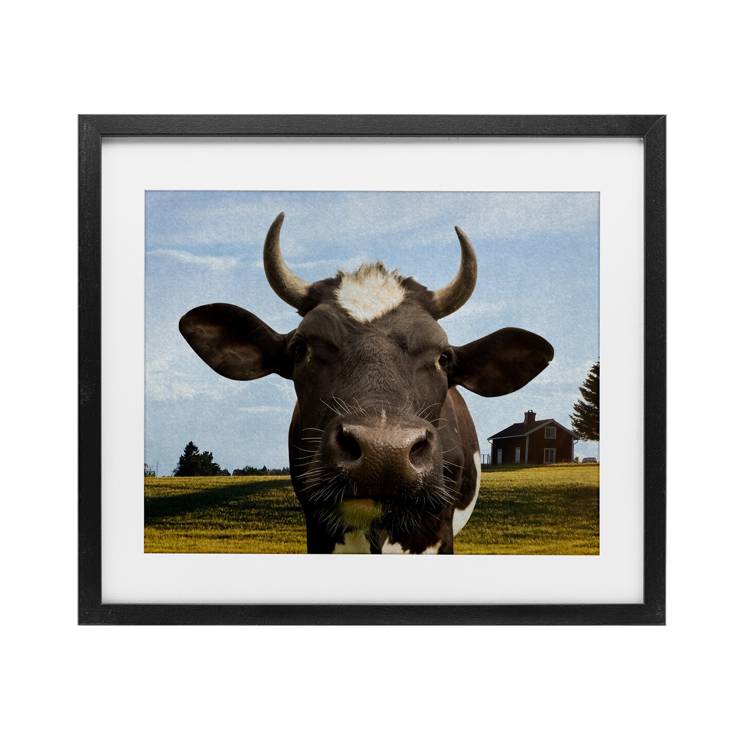 Stupell Industries Farm Cow with Curved Horns Framed Print Under Glass, design by Marcus Prime