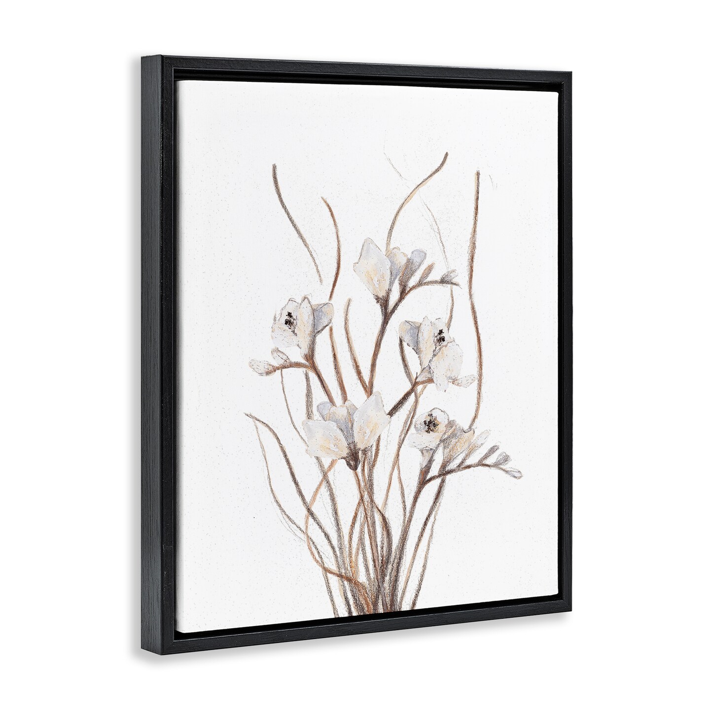 Stupell Industries Curly Branches on White Floating Frame, design by Lanie Loreth