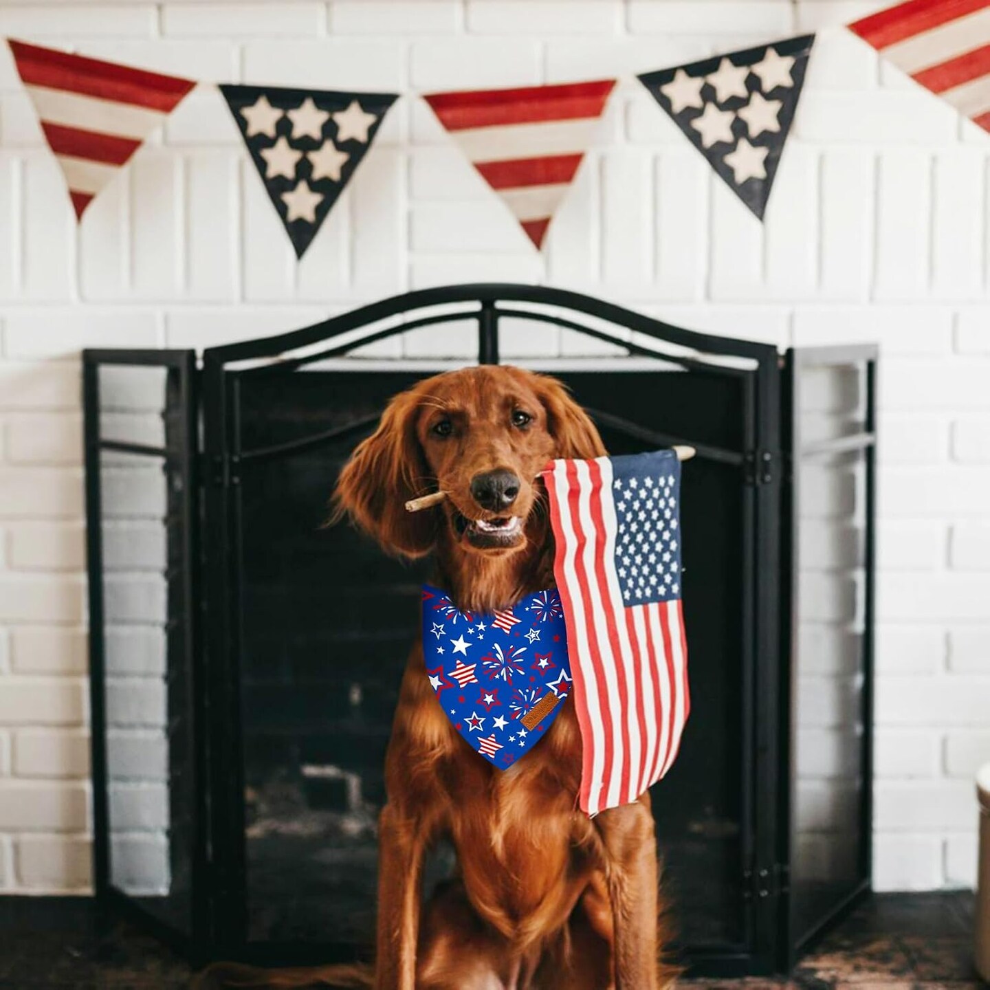 2 Pieces Patriotic Dog Bandanas, Double-Sided Reversible Triangle Scarf, American Flag Stars and Stripes Wearables Design, 4th of July