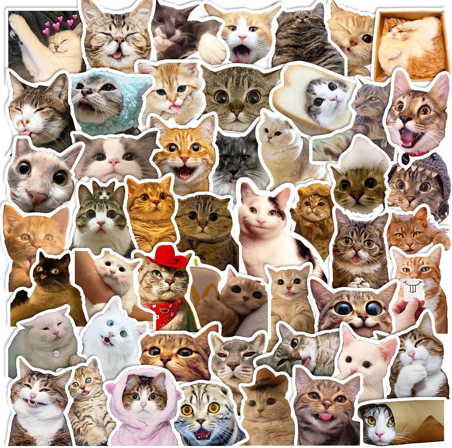 100 Pcs Cute Cat Stickers for Kids, Waterproof for Kids