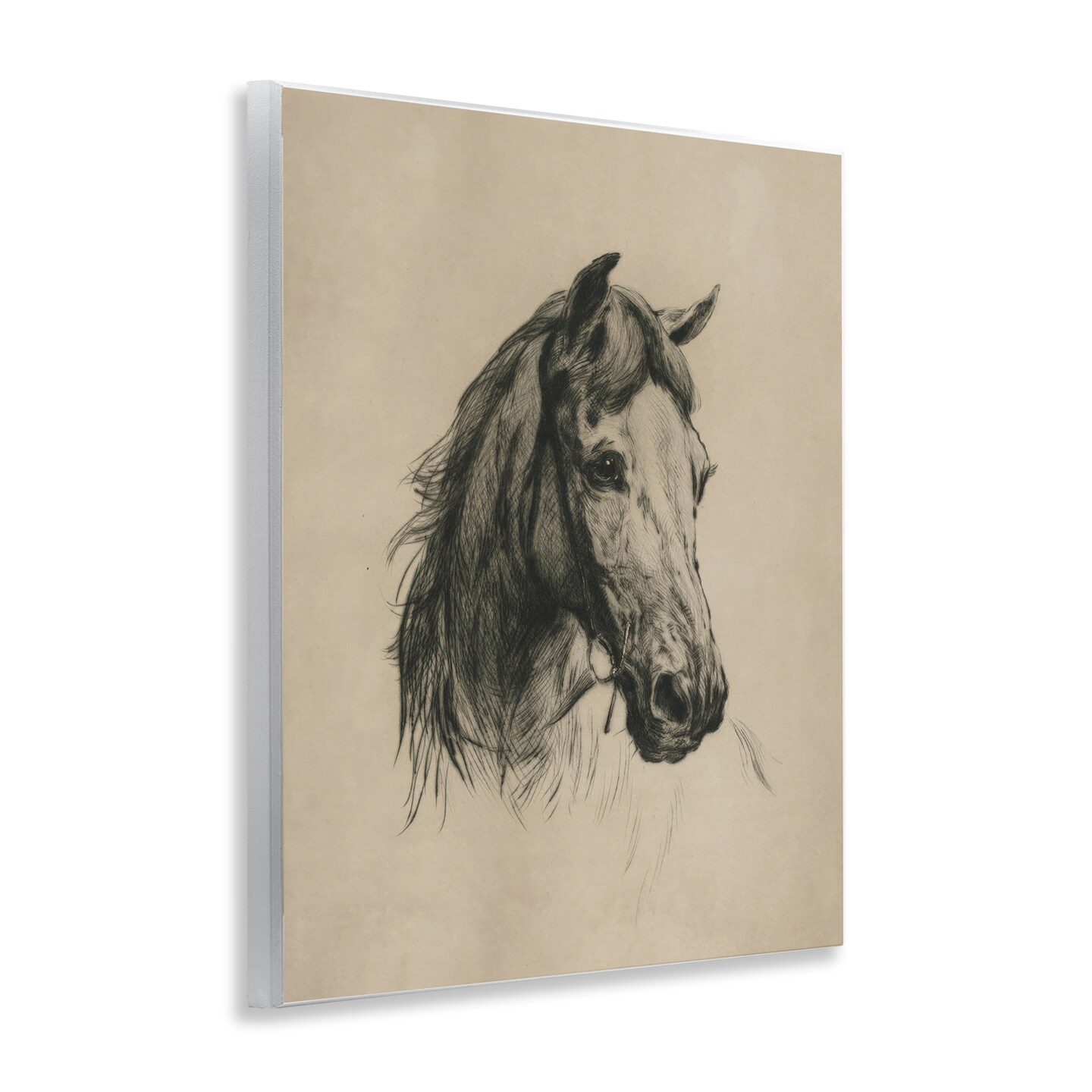 Stupell Industries Charcoal Horse Portrait Wall Plaque By Arlington Prints