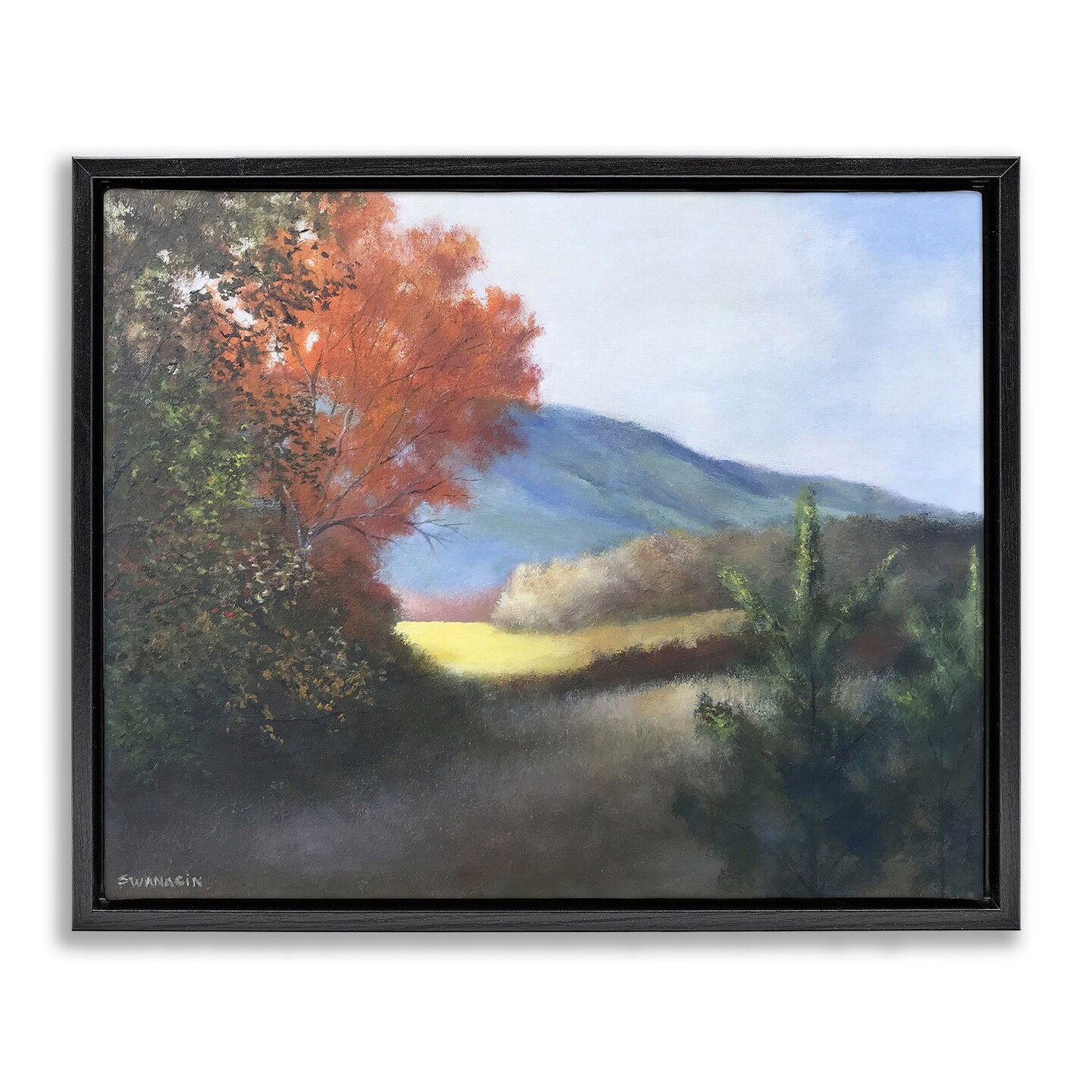 Stupell Industries Autumn Foliage Mountain Scenery Floating Frame By David Swanagin