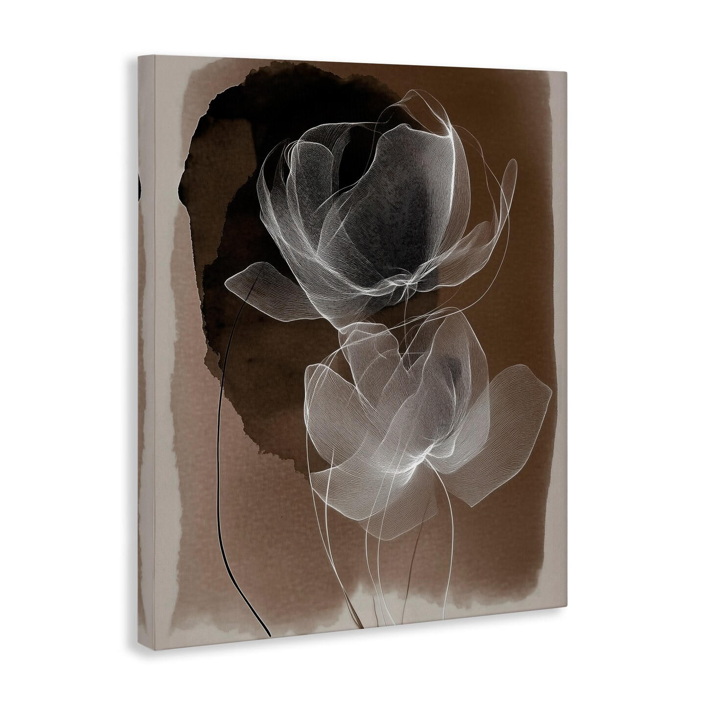 Stupell Industries Gossamer Roses on Brown Canvas By Annabelle Hall