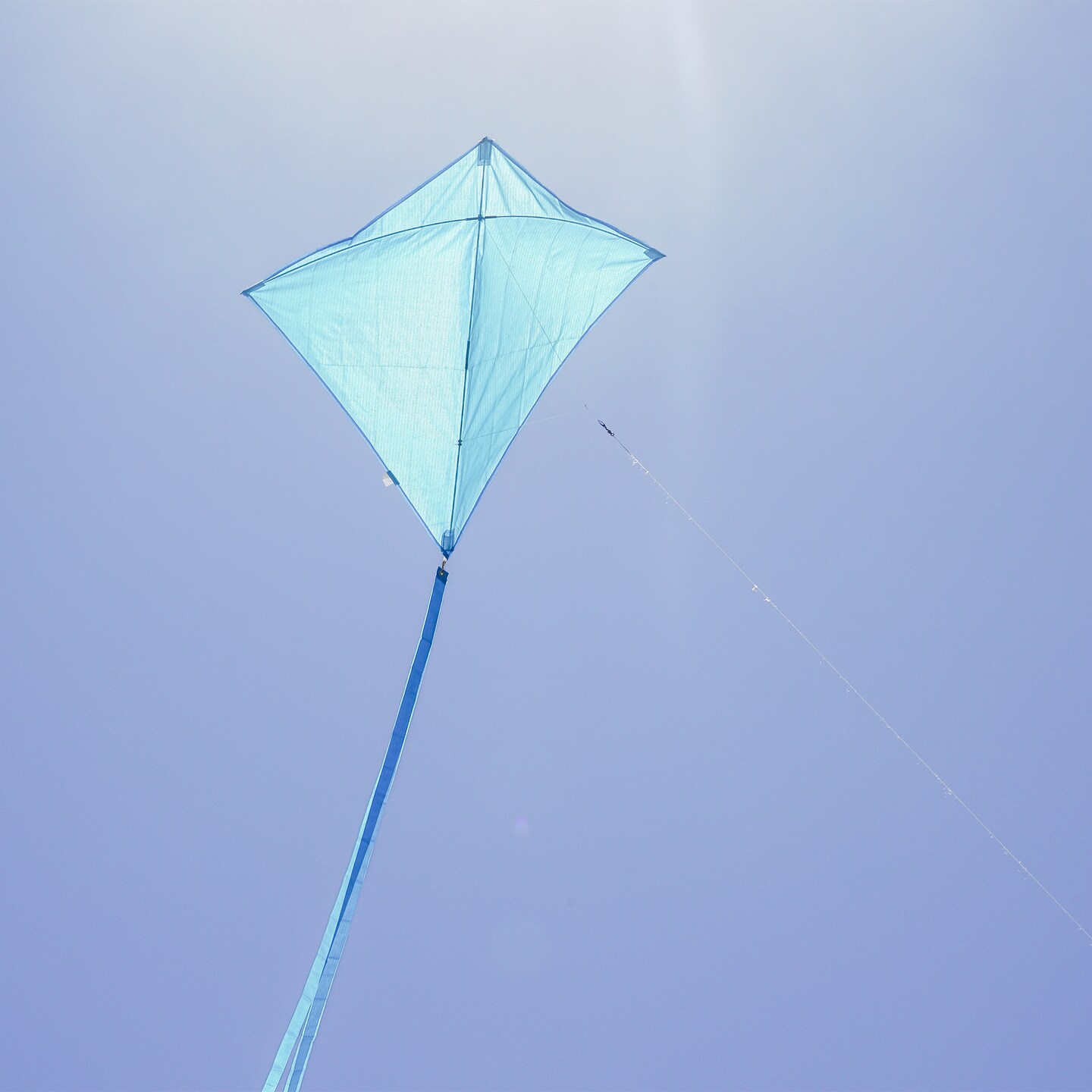 In the Breeze 3294 - Blueberry 30 Inch Diamond Kite - Solid Blue, Fun, Easy Flying Kite