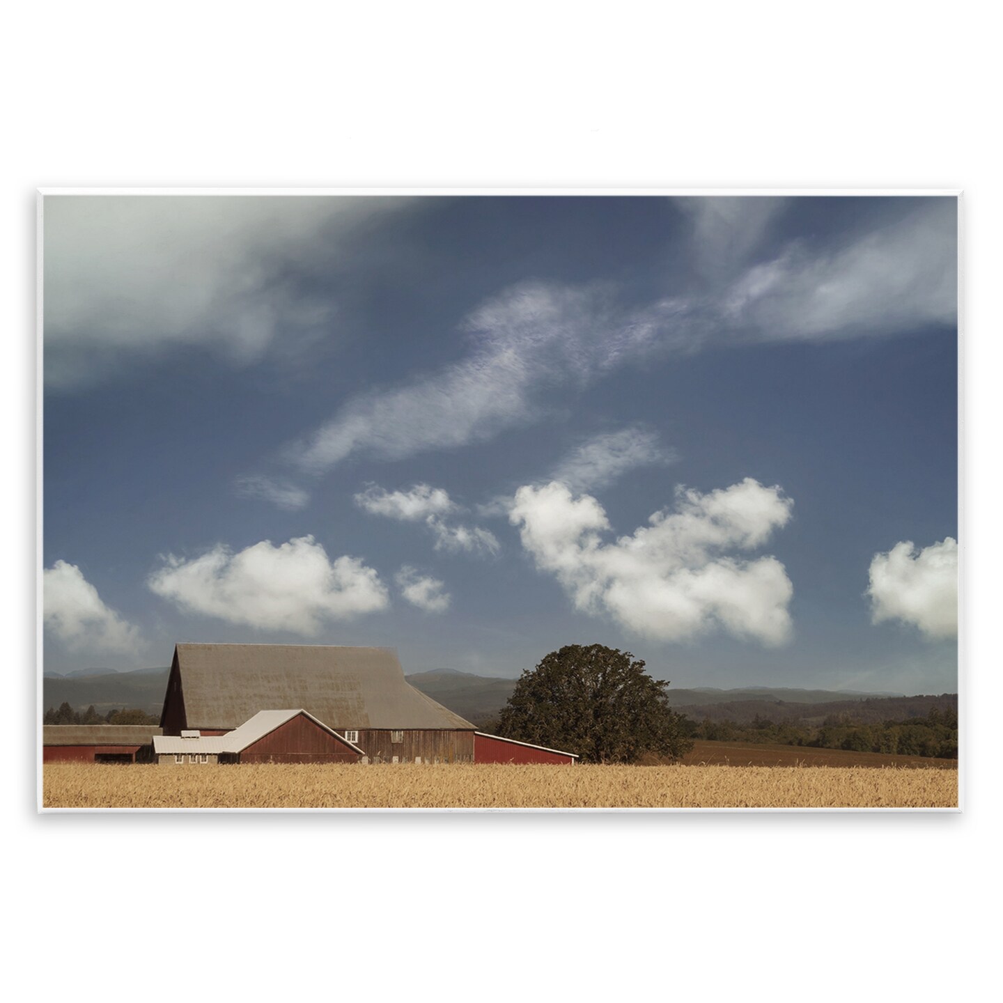 Stupell Industries Clouds Over Farmhouse Wall Plaque By Don Schwartz ...