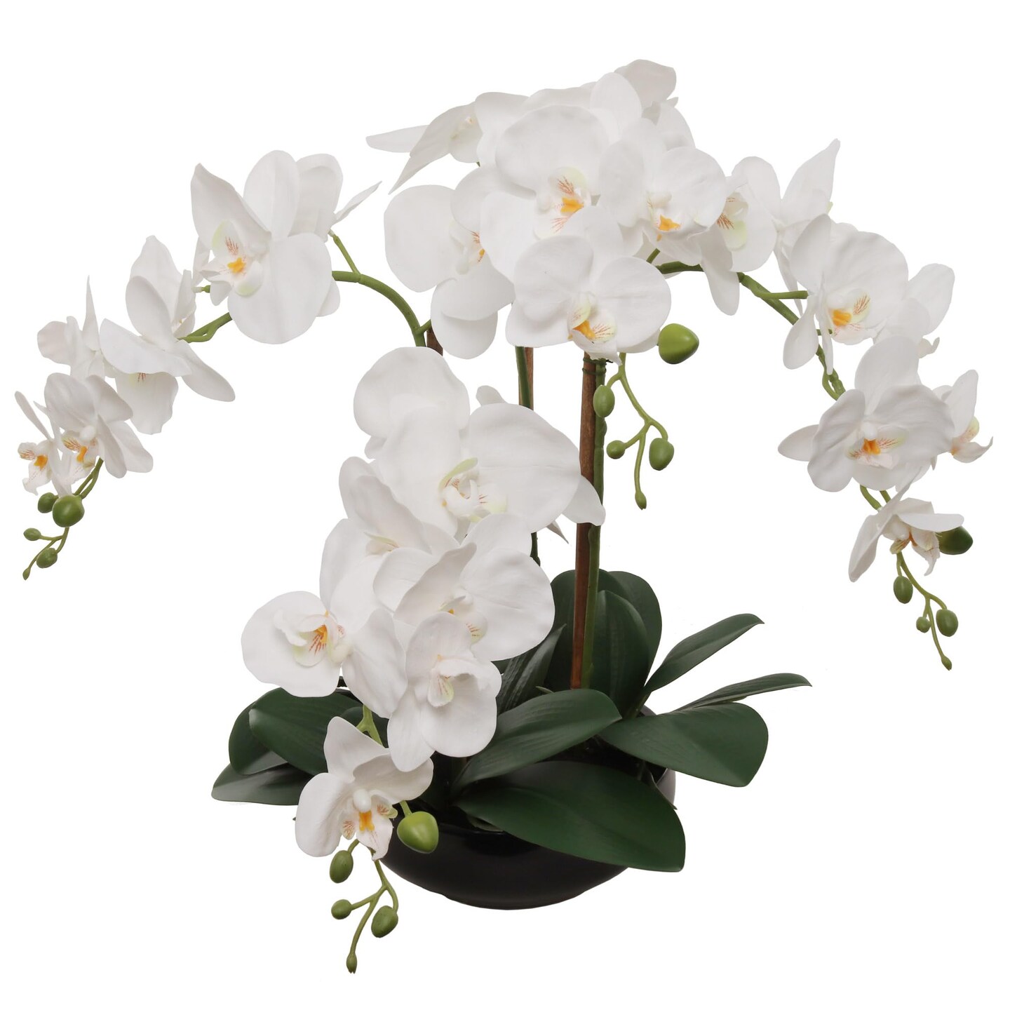 3-Pack 20" White Phalaenopsis Orchids | Faux Floral Arrangements in Black Round Pots – Sophisticated Multi-Room Decor