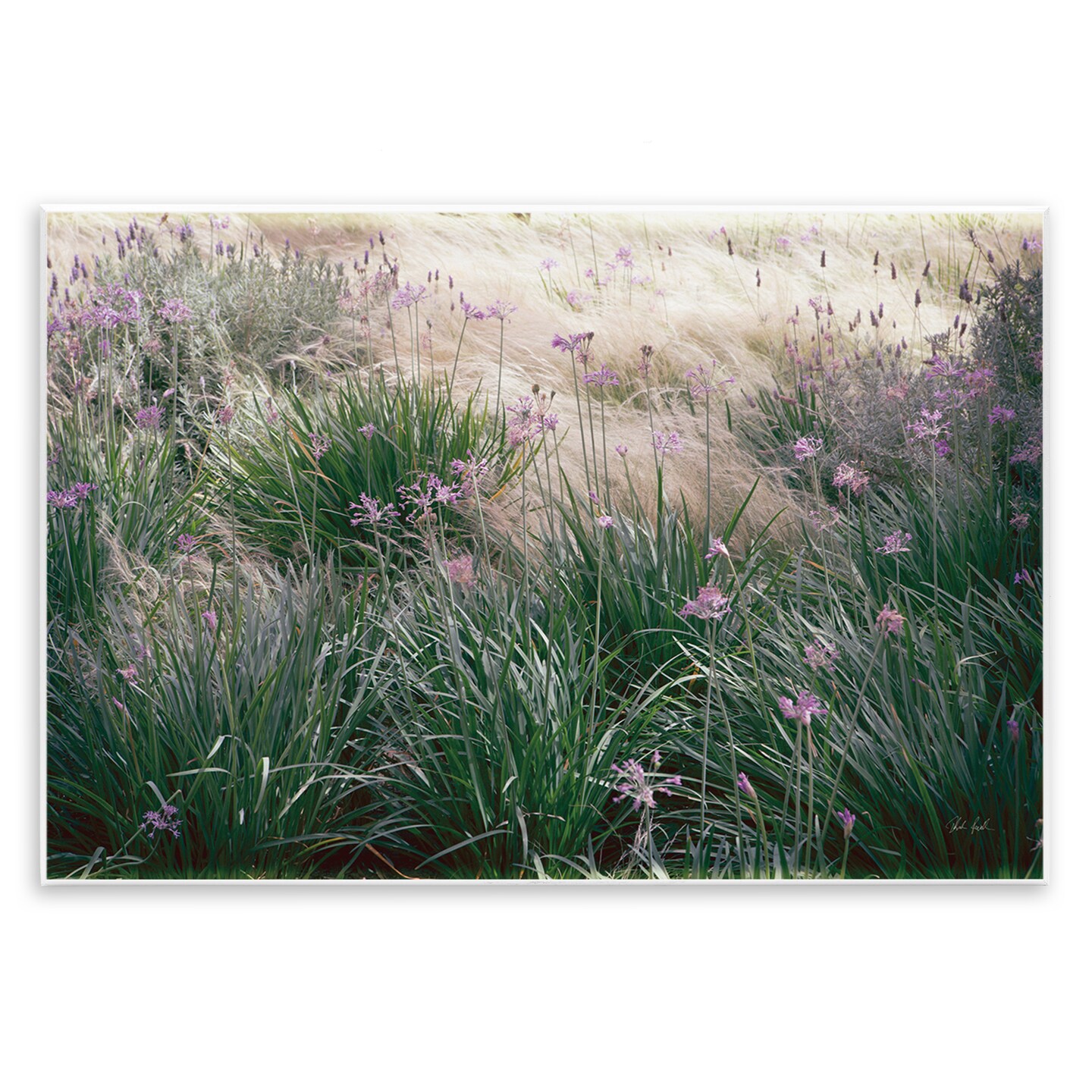 Stupell Industries Secret Garden Meadow Blooms Wall Plaque By Deborah Revell