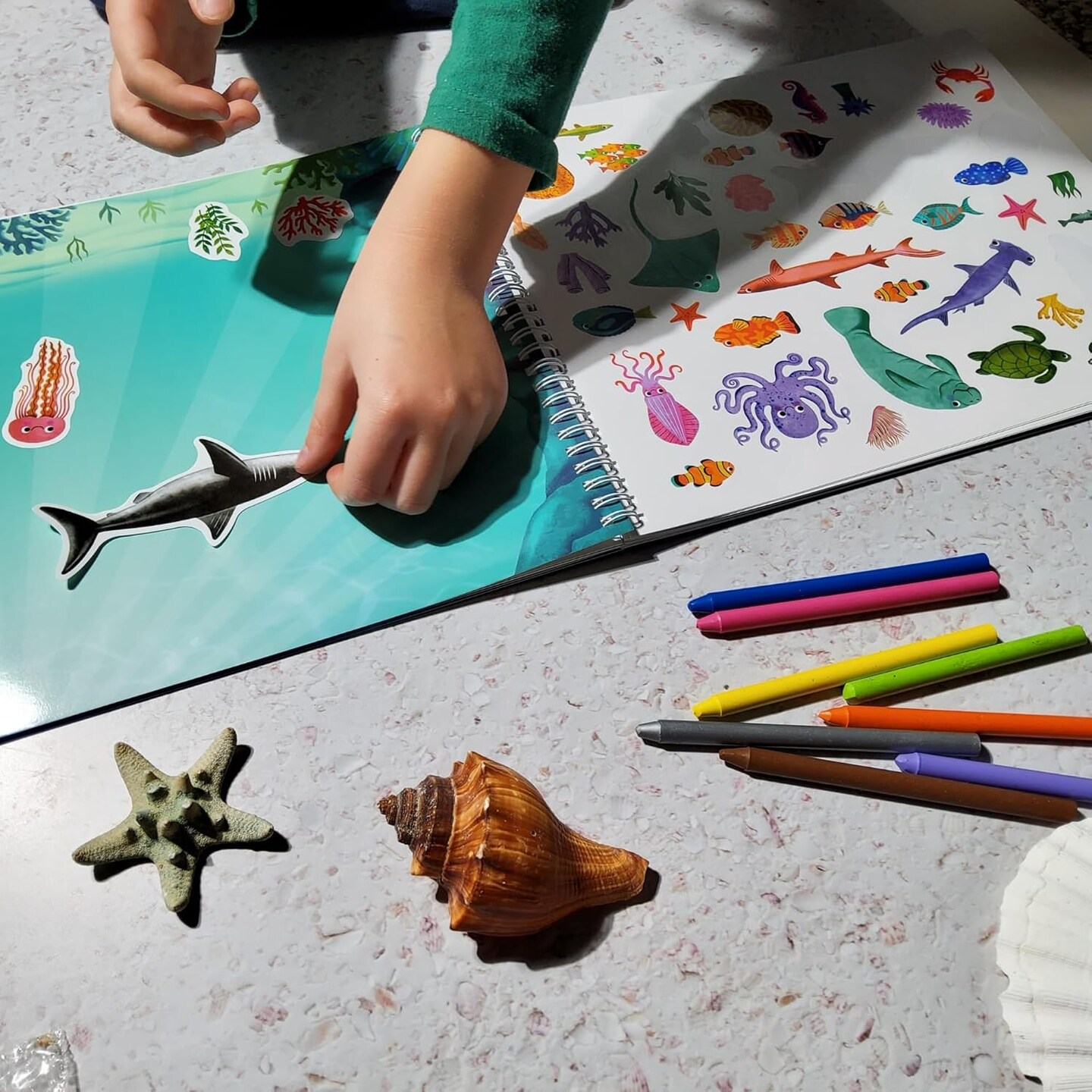 500+ Ocean Sticker Book Activity for Kids