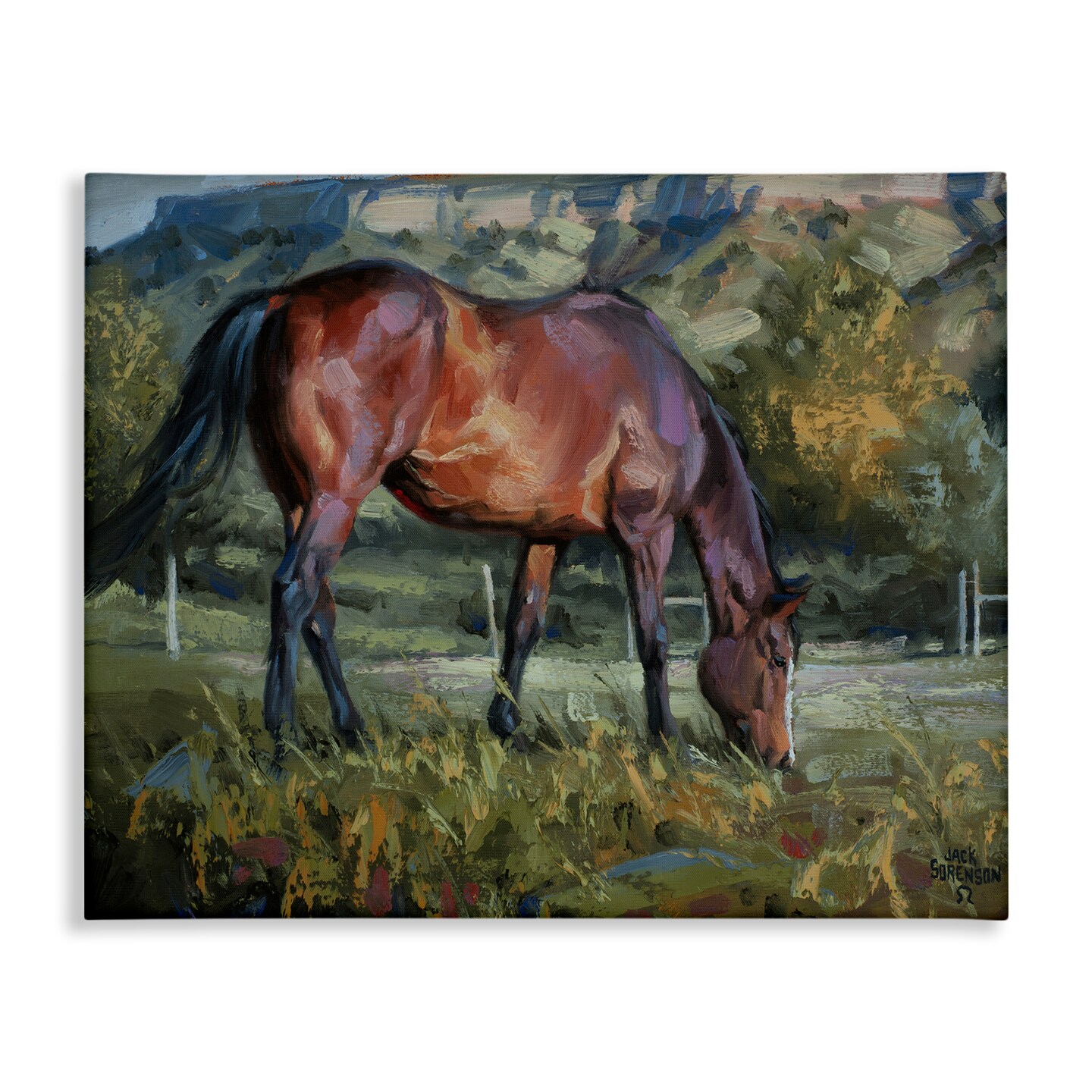 Stupell Industries Grazing Horse in Pasture Canvas By Jack Sorenson