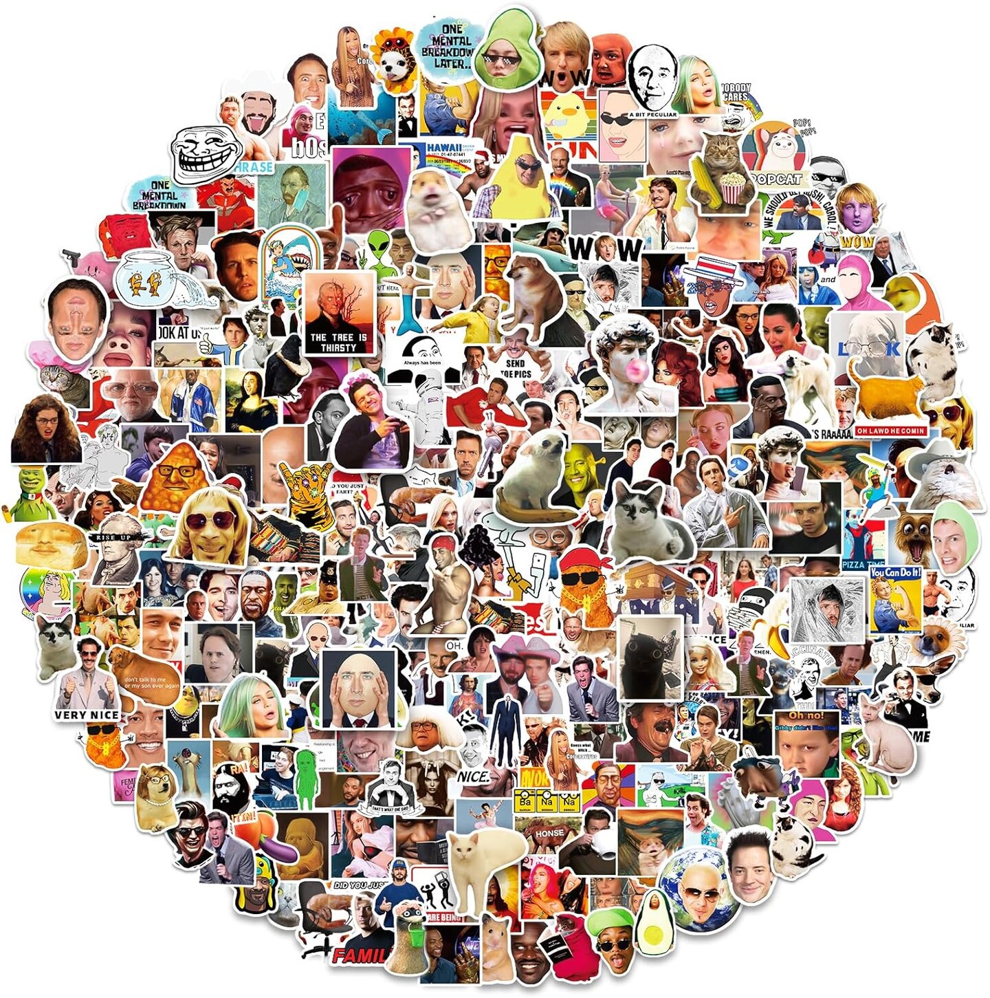 Meme Stickers 300 PCS - Funny Vinyl Stickers for Adults