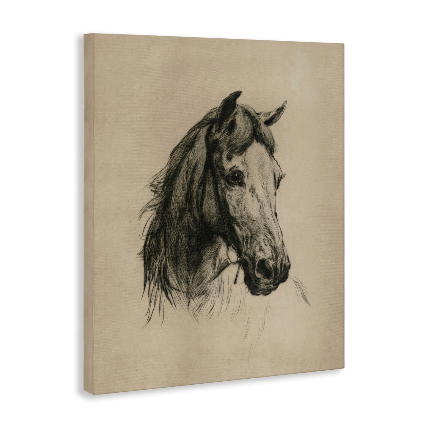 Stupell Industries Charcoal Horse Portrait Canvas By Arlington Prints
