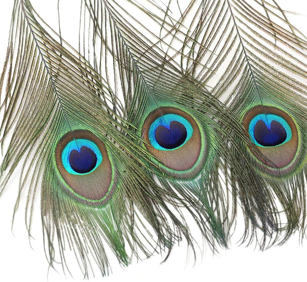 120 PCS Real Natural Peacock Eye Feathers