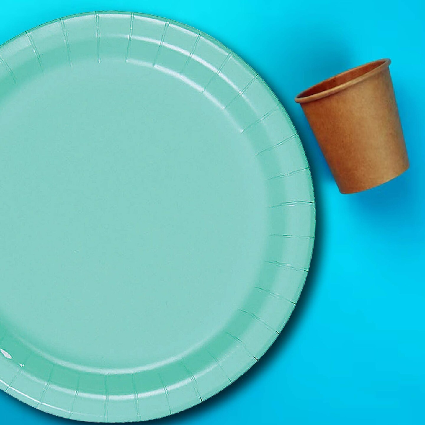 24 Count Mint Round Dessert Plates for Spring or Garden Events 7 Inch