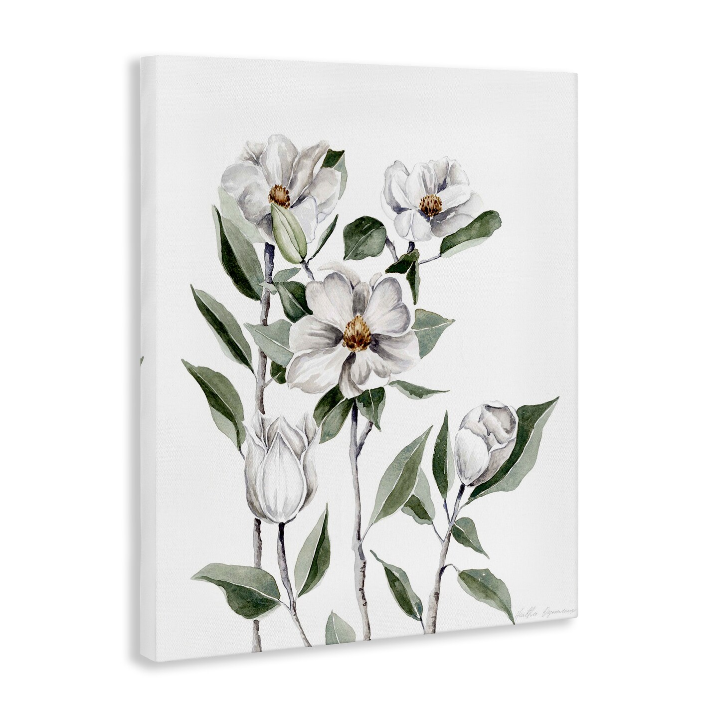 Stupell Industries Delicate Magnolia Sprigs Canvas By Heather Desormeaux