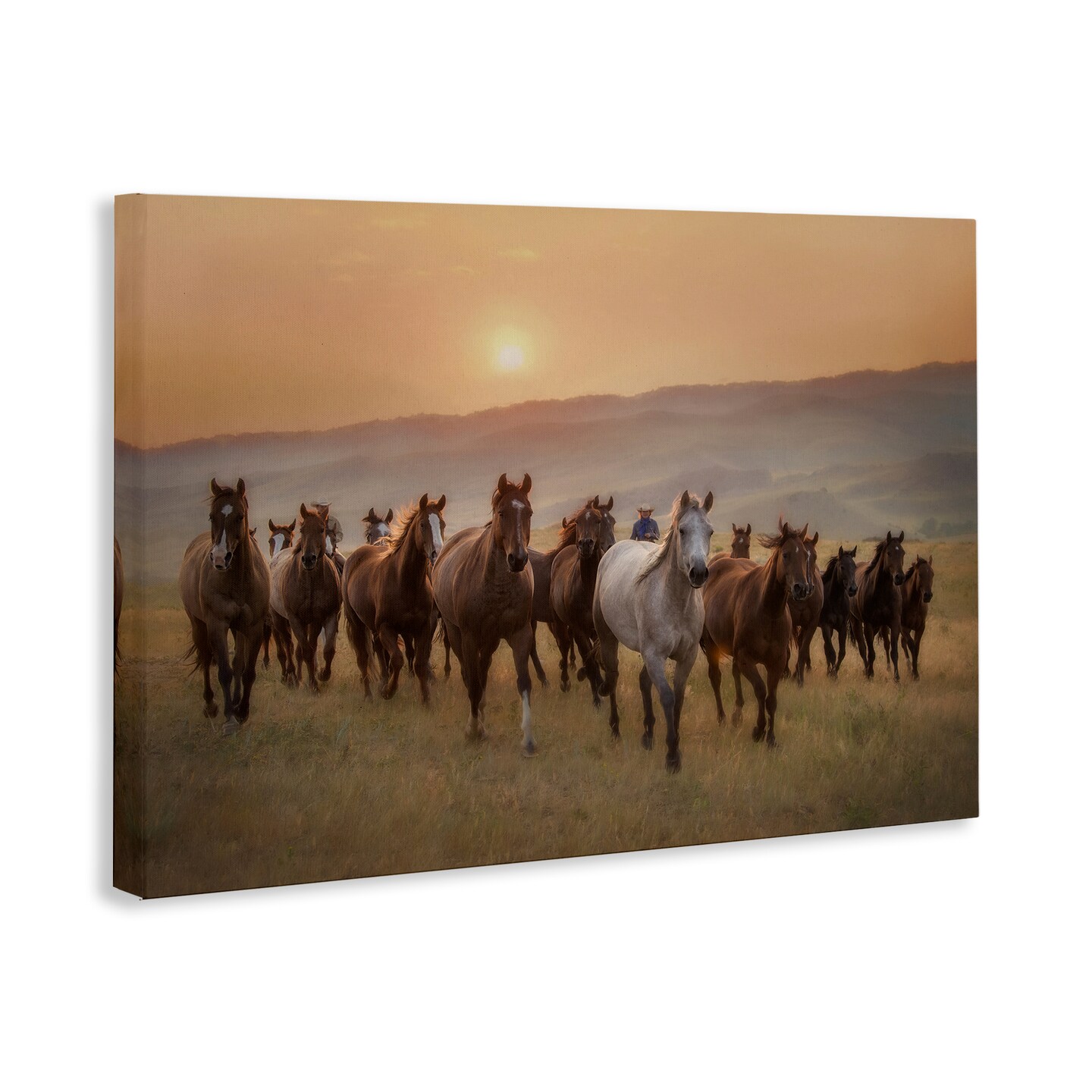 Stupell Industries Herd of Horses on Journey Canvas By PHBurchett
