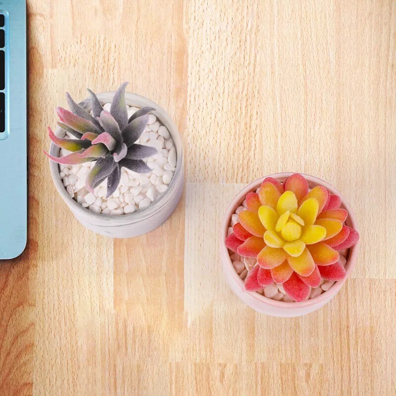 Set of 2 Mini Potted Artificial Succulent Plants