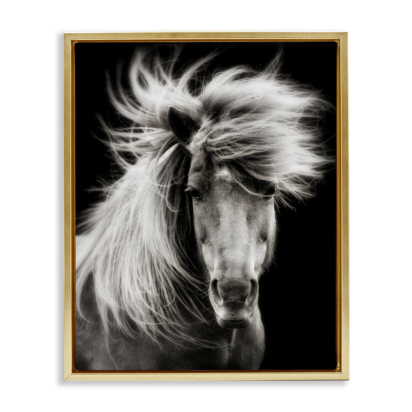 Stupell Industries Windblown Mane Horse on Black Floating Frame By PHBurchett