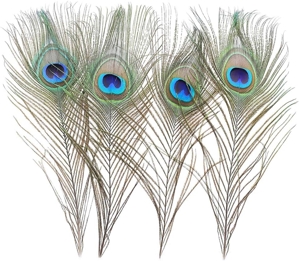 120 PCS Real Natural Peacock Eye Feathers