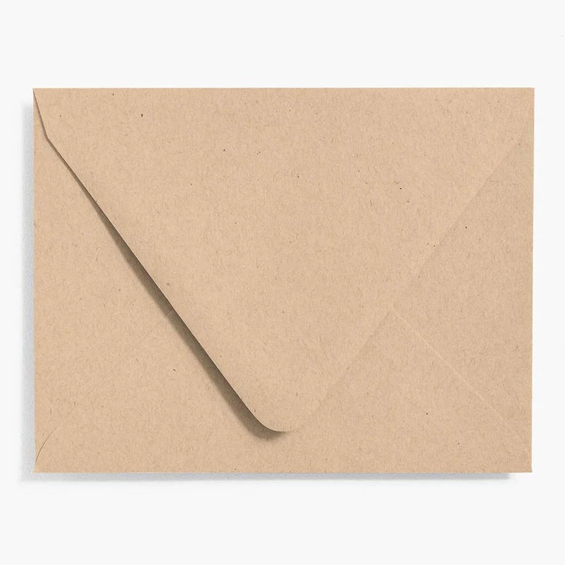 Honey Bee A2 Card Panels and Envelopes Set Of 5 - Classic Kraft