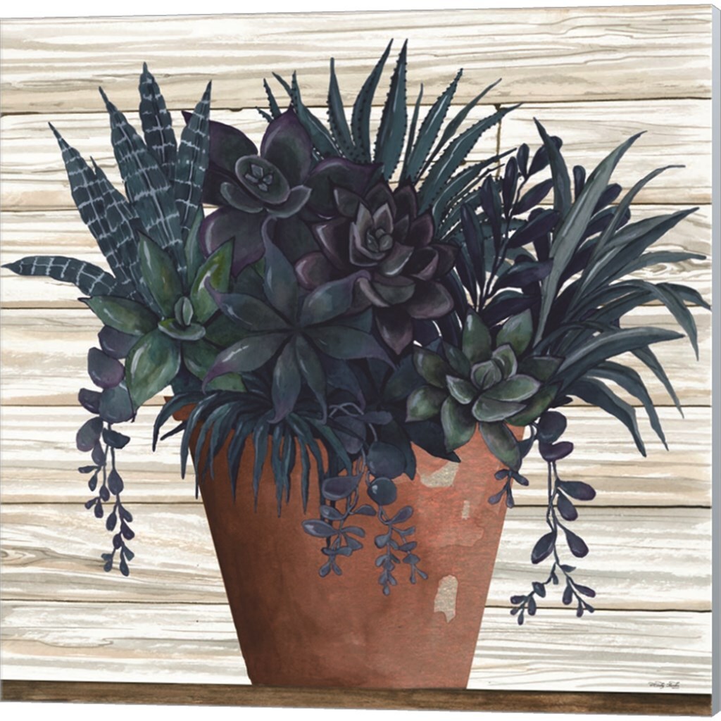 Remarkable Succulents by Cindy Jacobs 14&#x22; x 14&#x22; Canvas Wall Art (Set of 2)