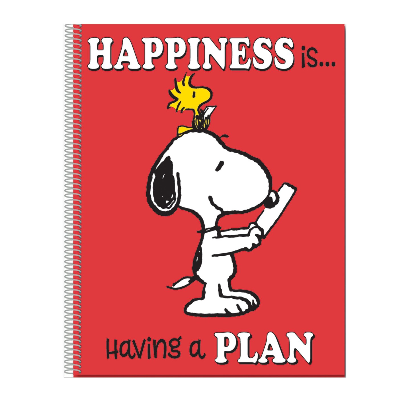 Peanuts Lesson Plan &#x26; Record Books