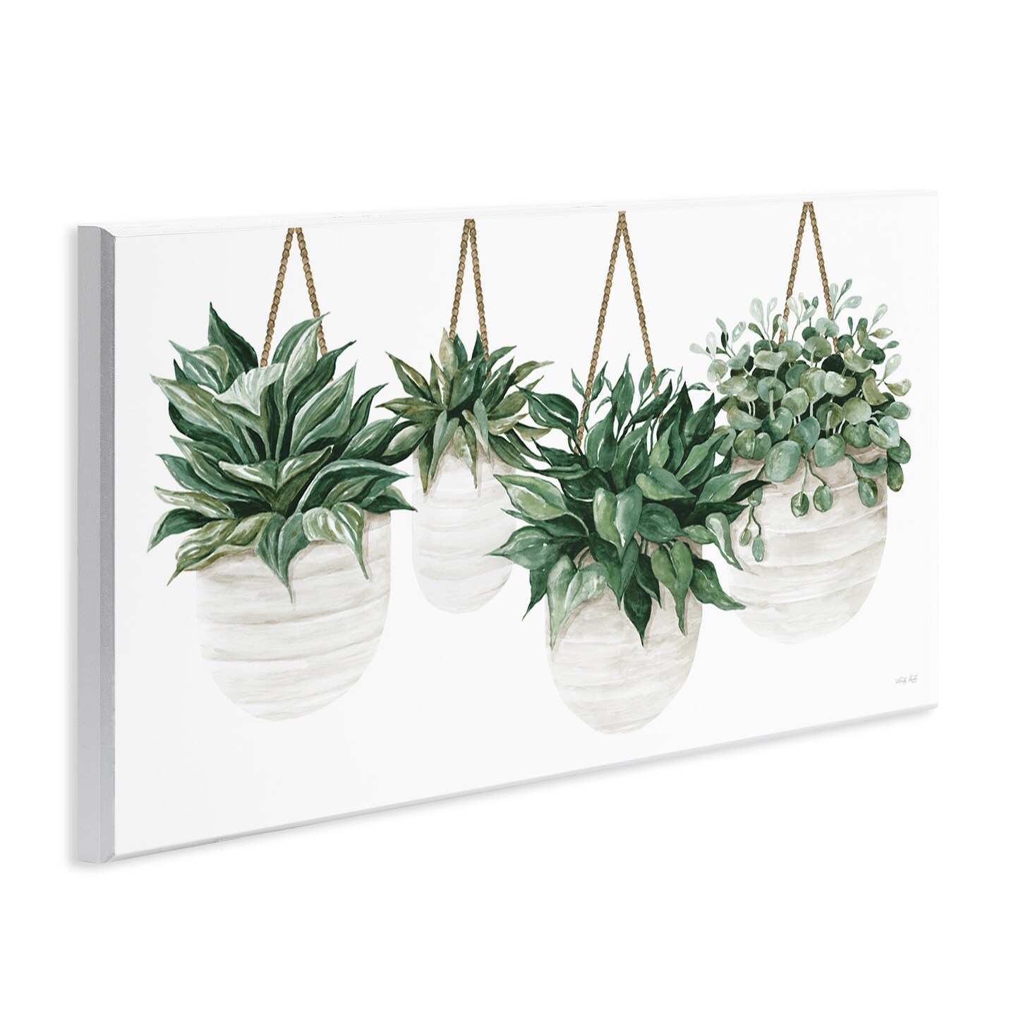 Stupell Industries Hanging Planters House Plants Wall Plaque Art