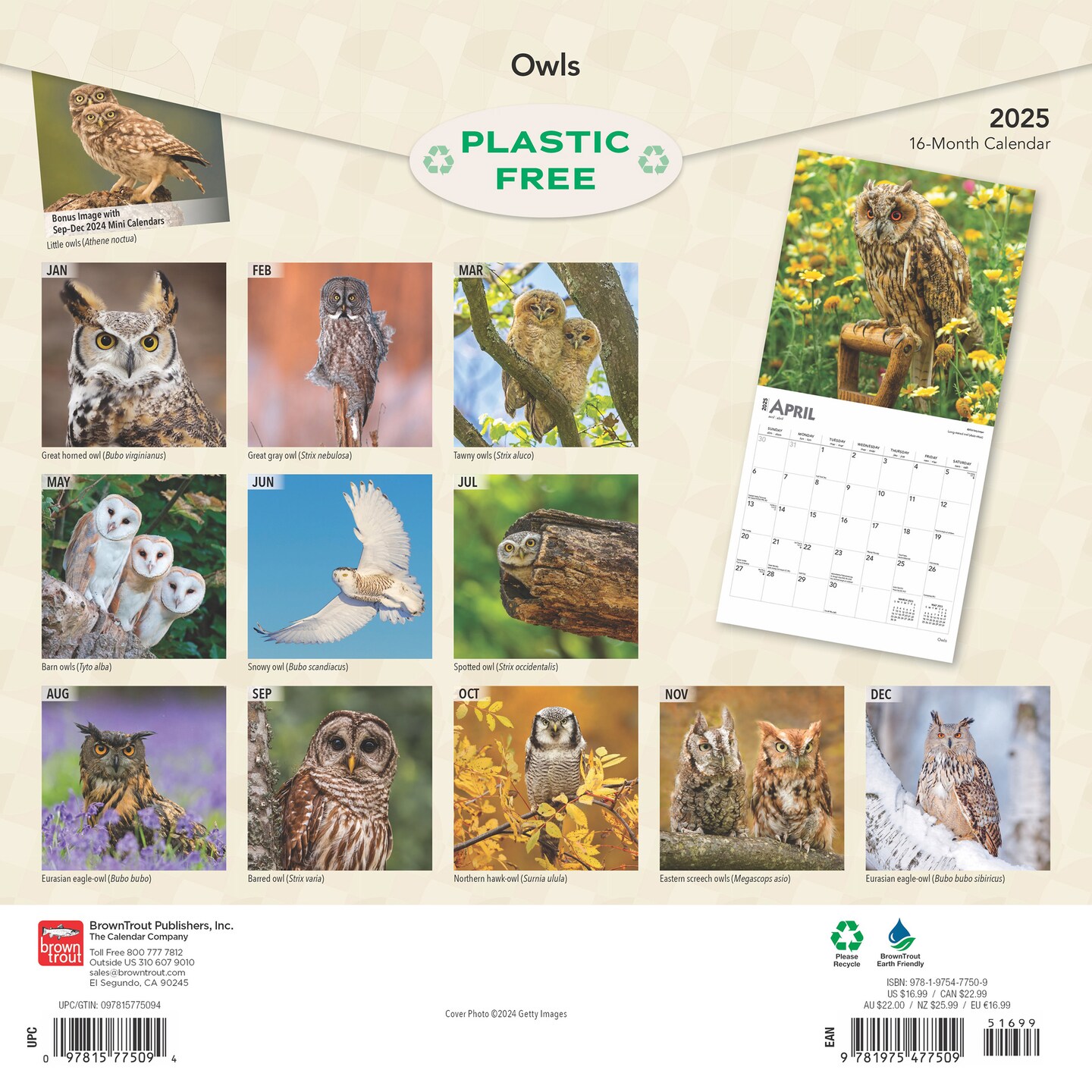 Owls | 2025 12 x 24 Inch Monthly Square Wall Calendar | Plastic-Free | BrownTrout | Wildlife Animals Birds