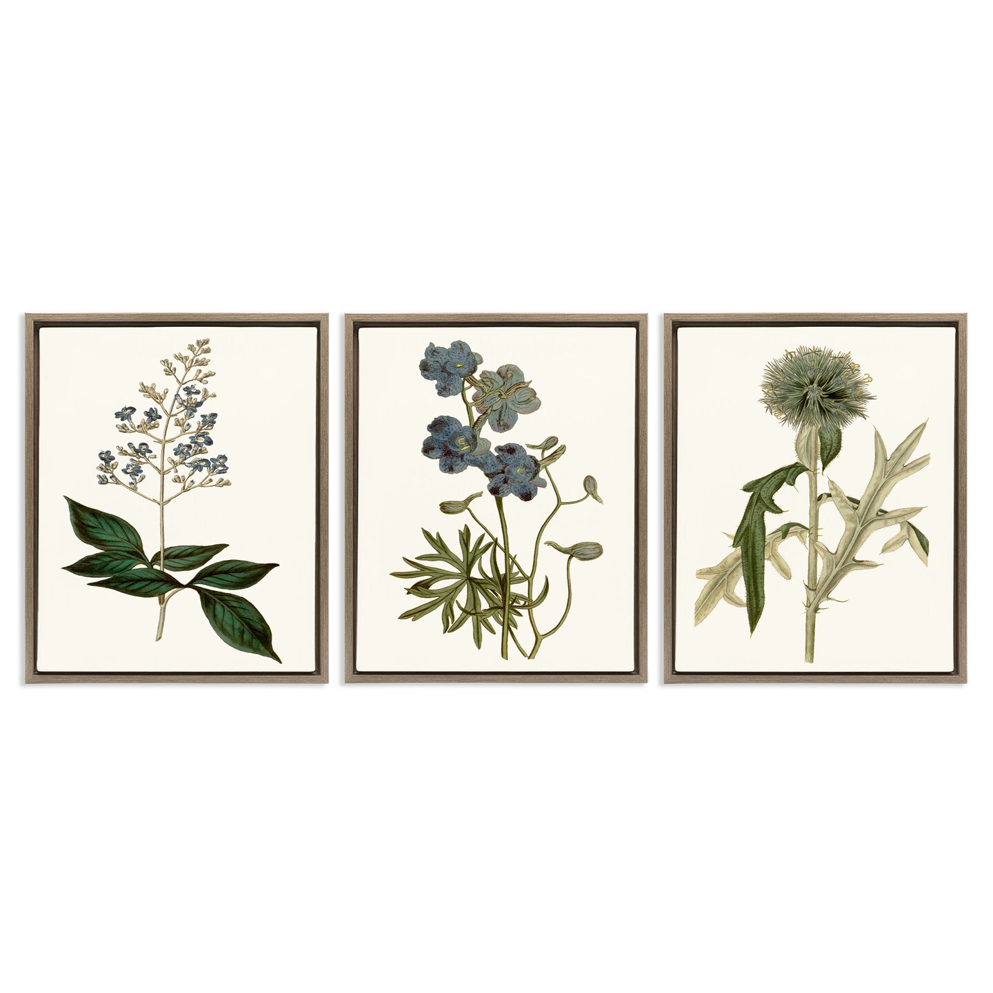 Stupell Industries Vintage Botanical Flowers on Beige Framed Floater Canvas Wall Art