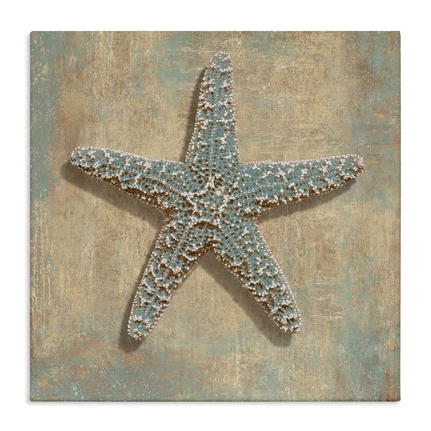 Stupell Industries Starfish Beach Objects Design Canvas Wall Art