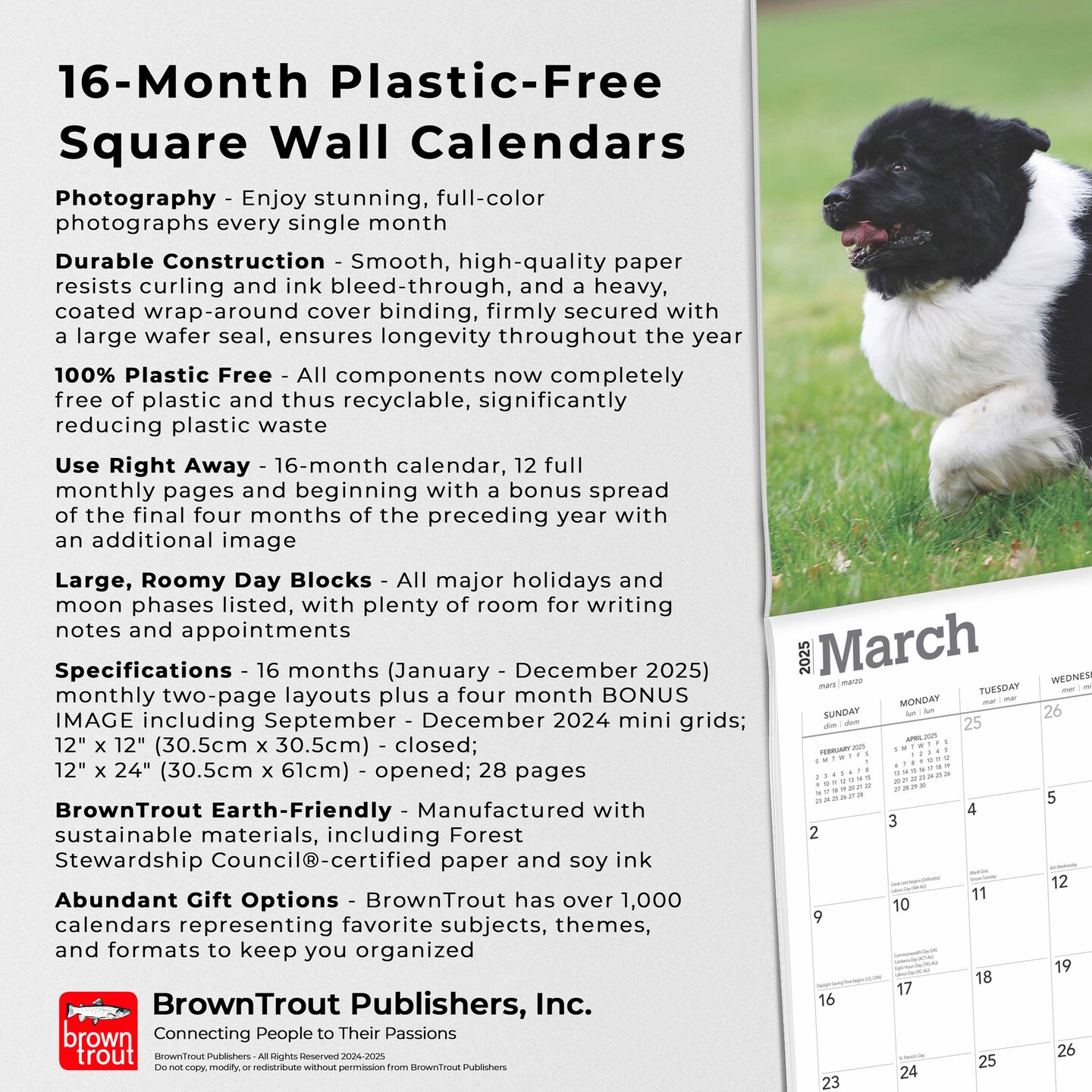 Newfoundlands | 2025 12 x 24 Inch Monthly Square Wall Calendar | Plastic-Free | BrownTrout | Animals Dog Breeds