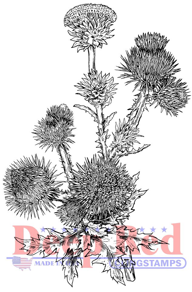 Deep Red Stamps Thistle Rubber Cling Stamp