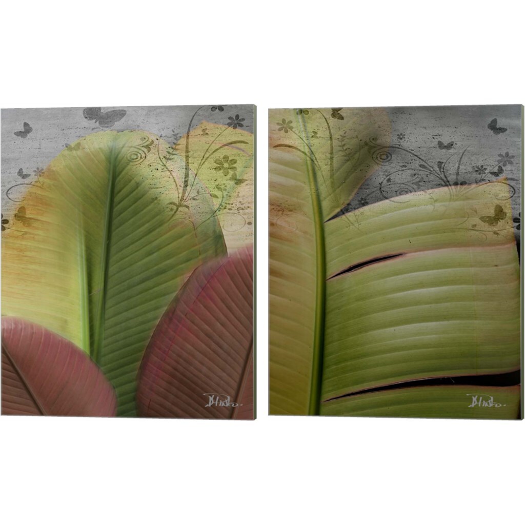 Butterfly Palm by Patricia Pinto 12&#x22; x 15&#x22; Canvas Wall Art (Set of 2)