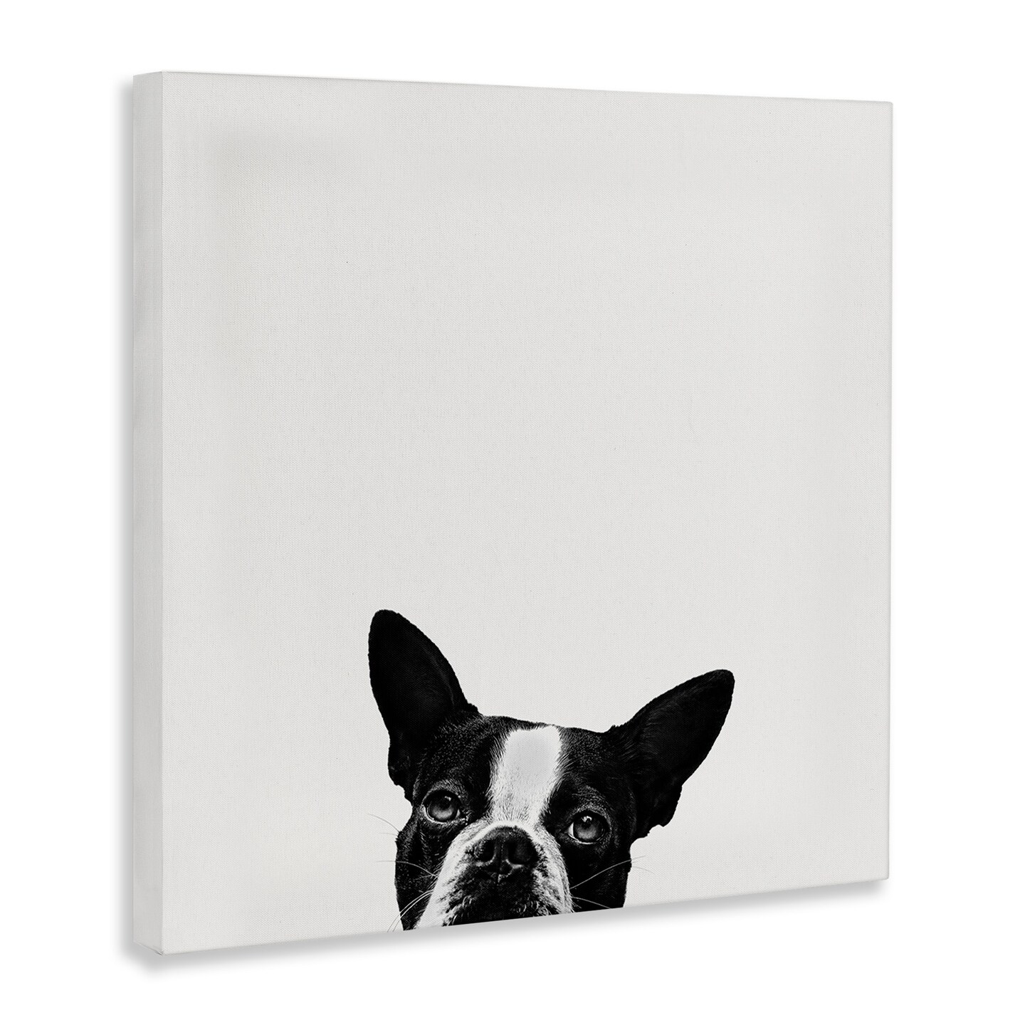 Stupell Industries Dog Peeking From Below Canvas Wall Art